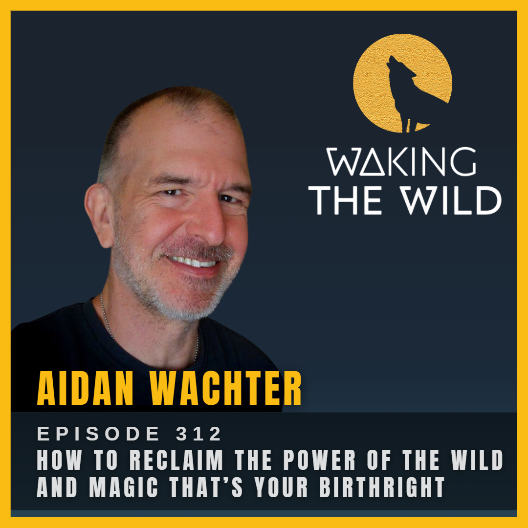 How to reclaim the power of the wild and magic that’s your birthright