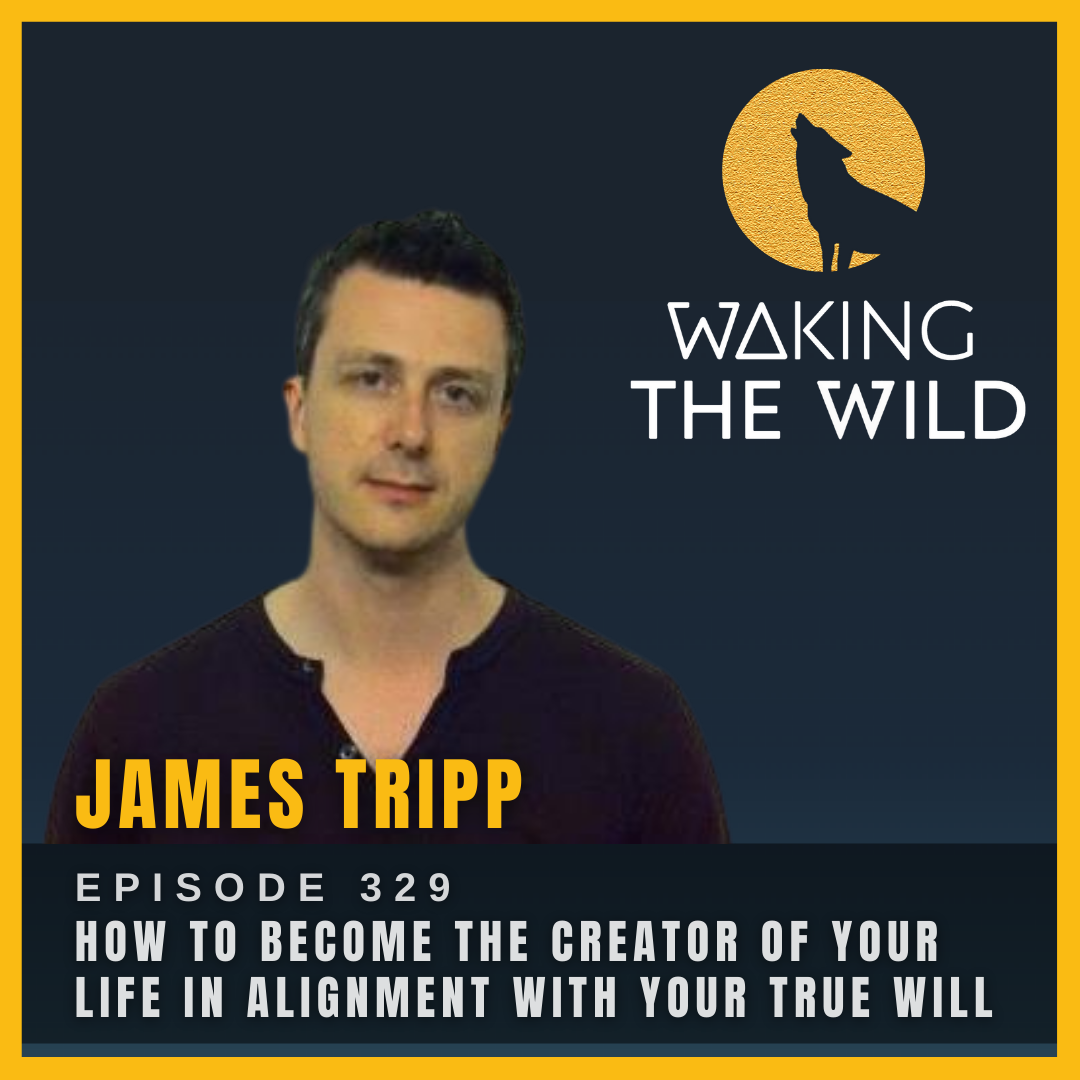 How to become the Creator of your life in alignment with your True Will