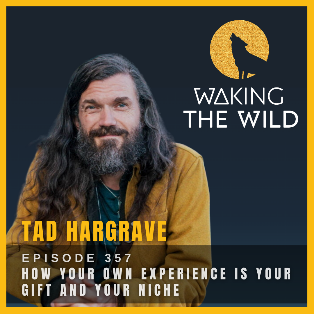 How your own experience is your gift and your niche