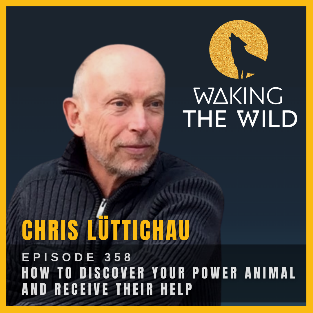 How to discover your power animal and receive their help
