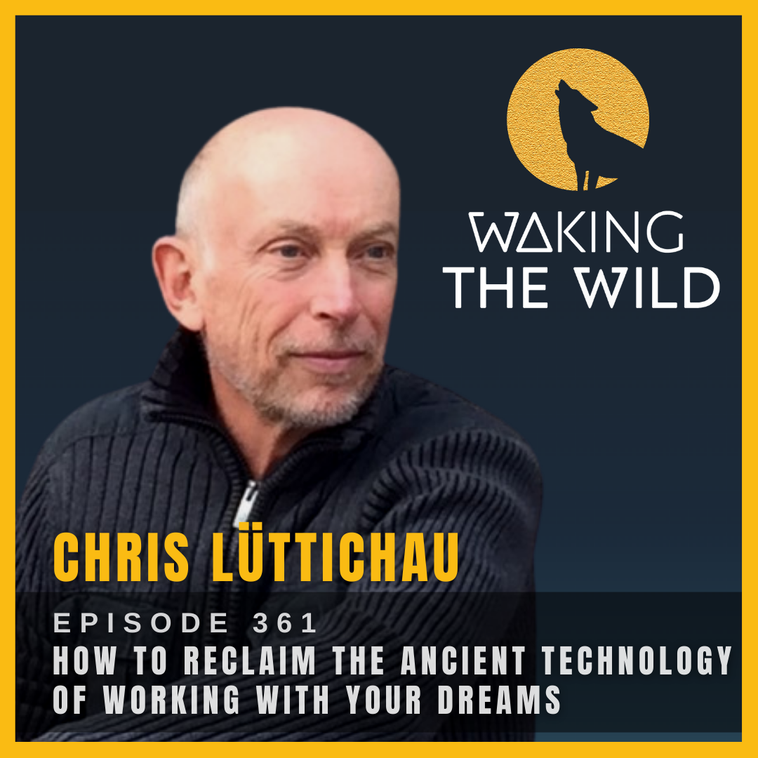 How to reclaim the ancient technology of working with your dreams