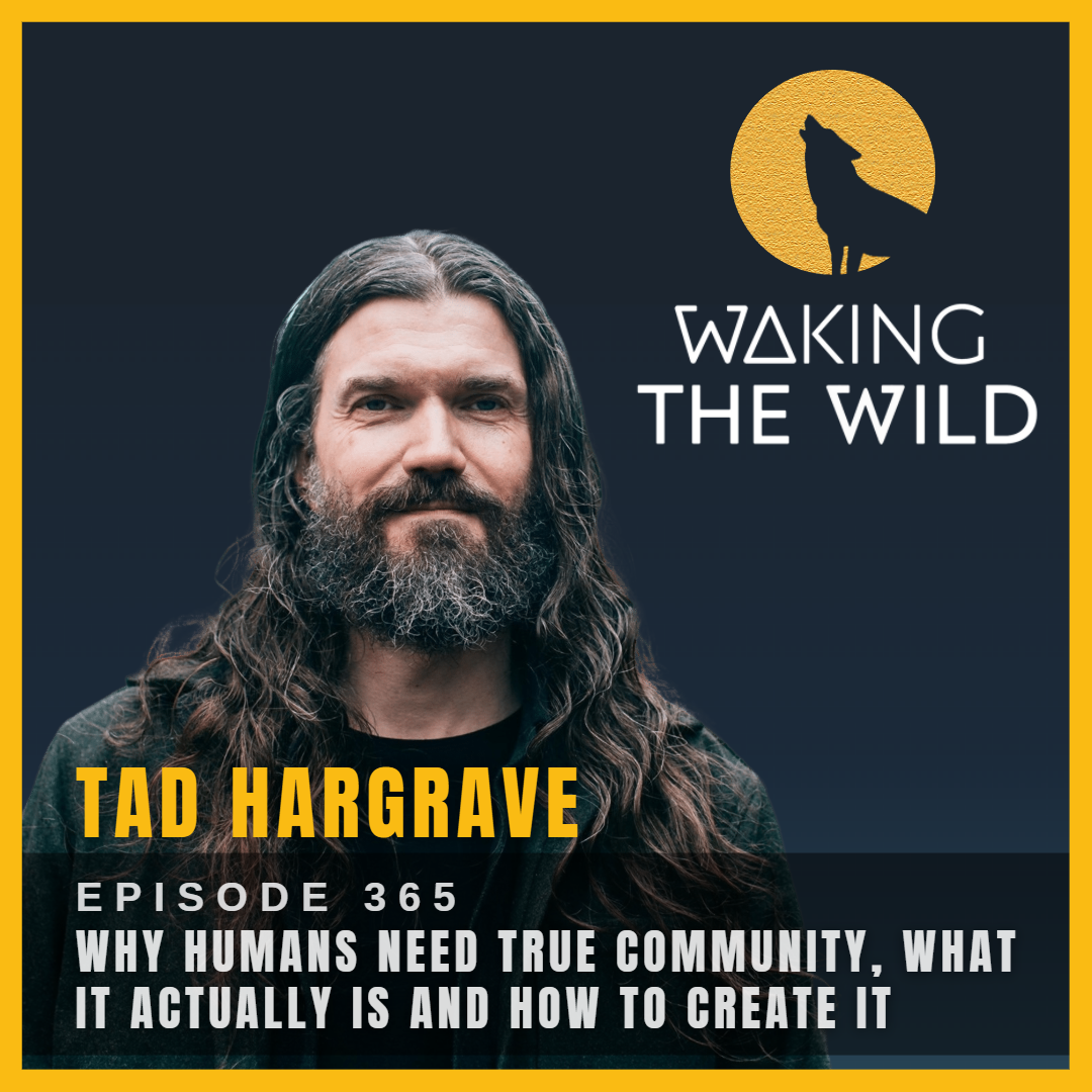 Why humans need true community, what it actually is and how to create it