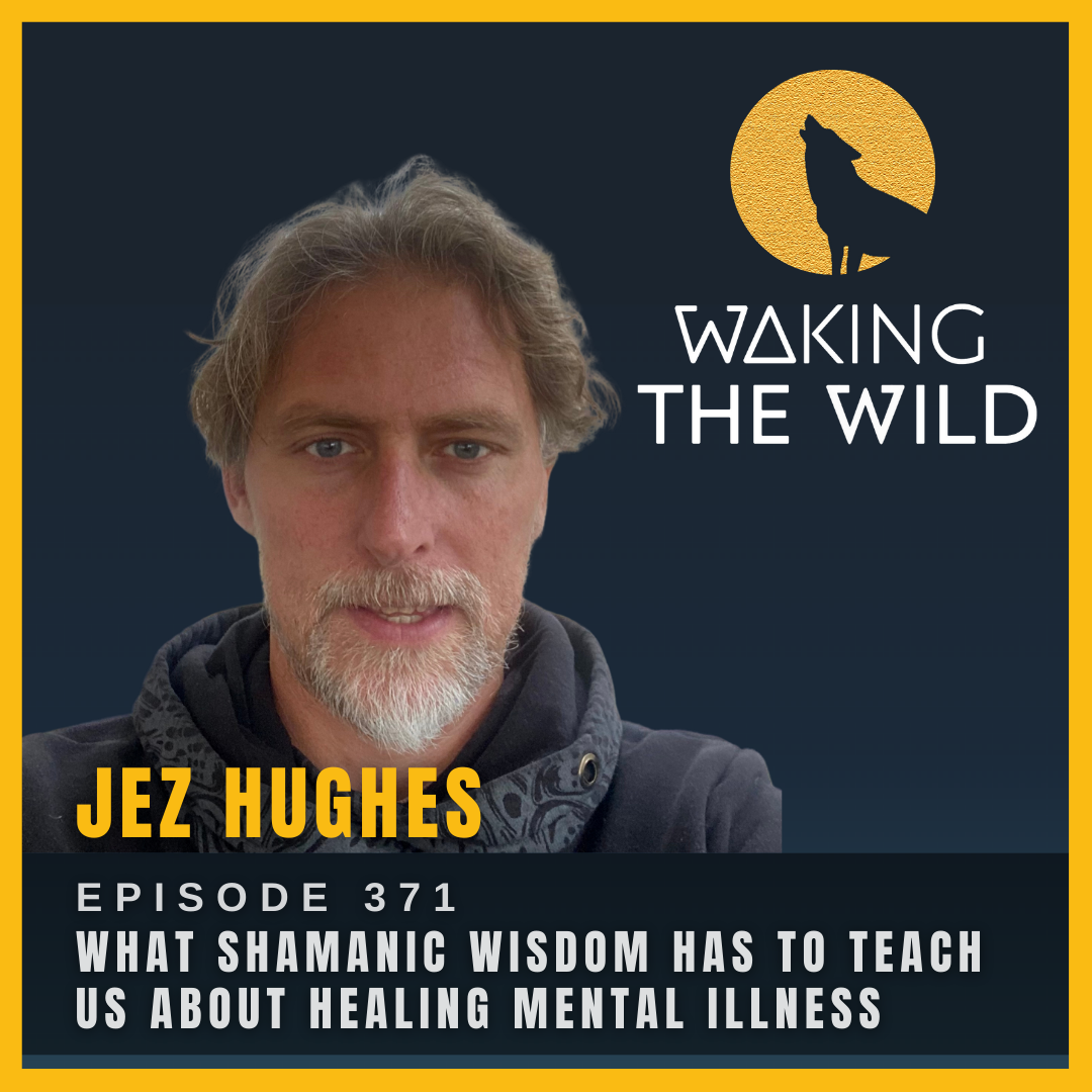 What shamanic wisdom has to teach us about healing mental illness
