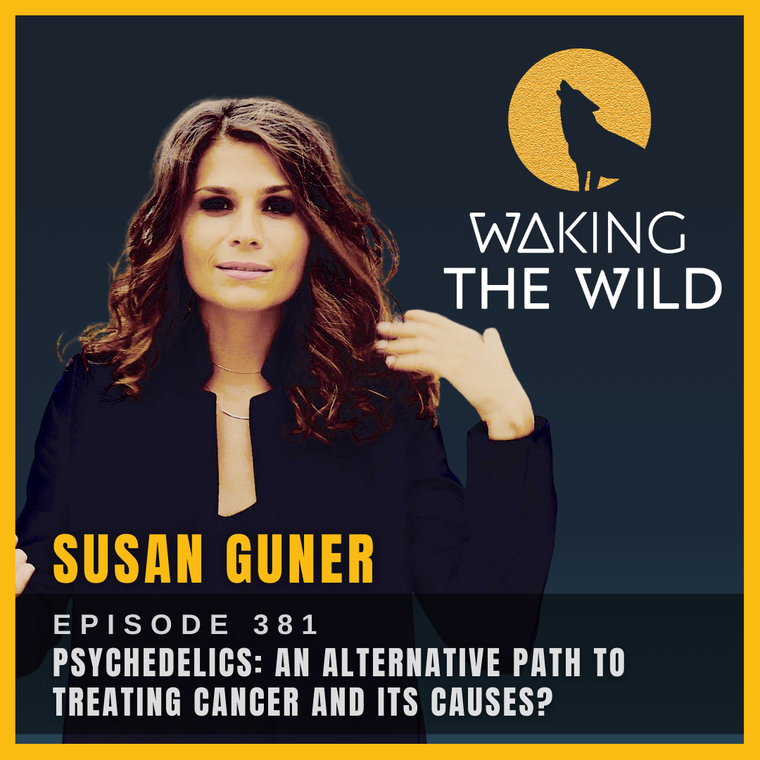Psychedelics: an alternative path to treating cancer and its causes?