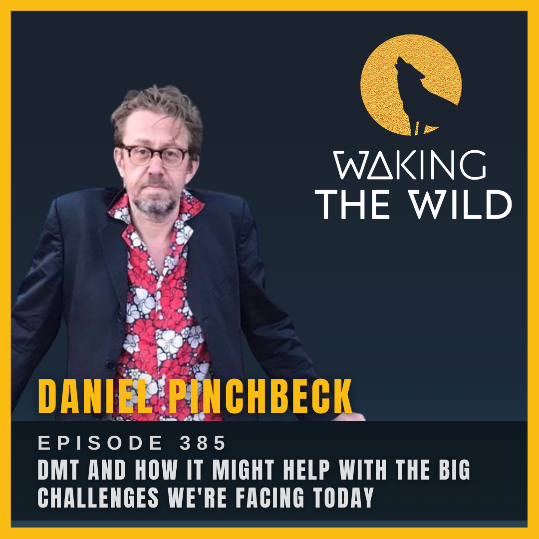 DMT and how it might help with the big challenges we're facing today