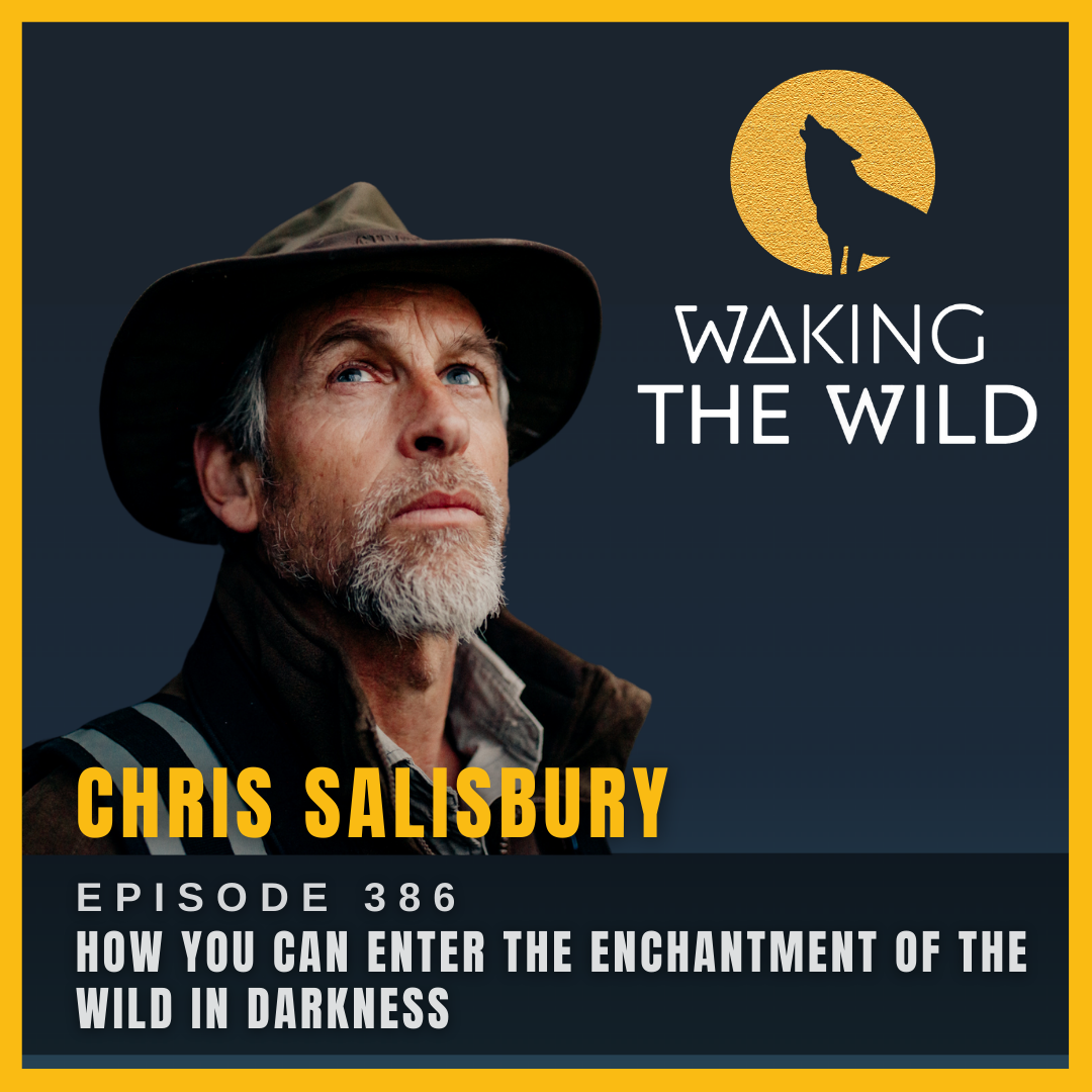 How you can enter the enchantment of the wild in darkness