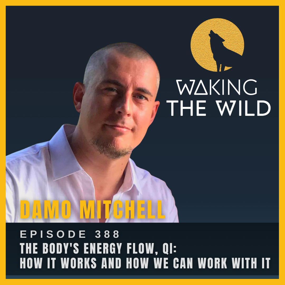 The body's energy flow, Qi: how it works and how we can work with it