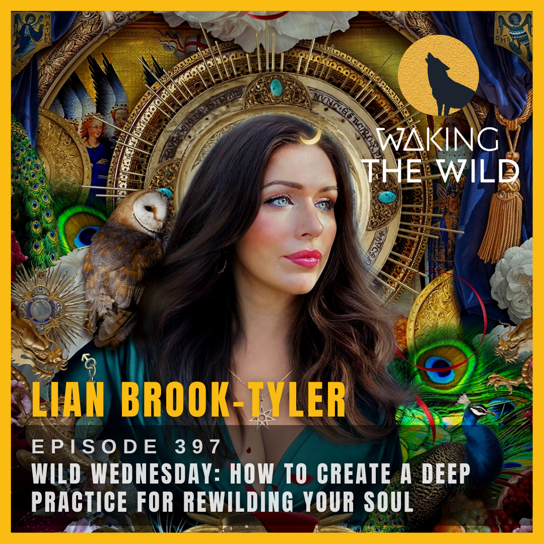 Wild Wednesday: How to create a deep practice for rewilding your soul