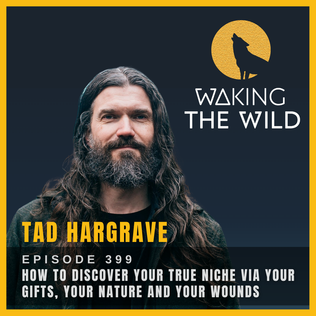 How to discover your true niche via your gifts, your nature and your wounds