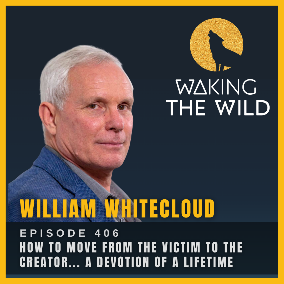 How to move from the Victim to the Creator... a devotion of a lifetime