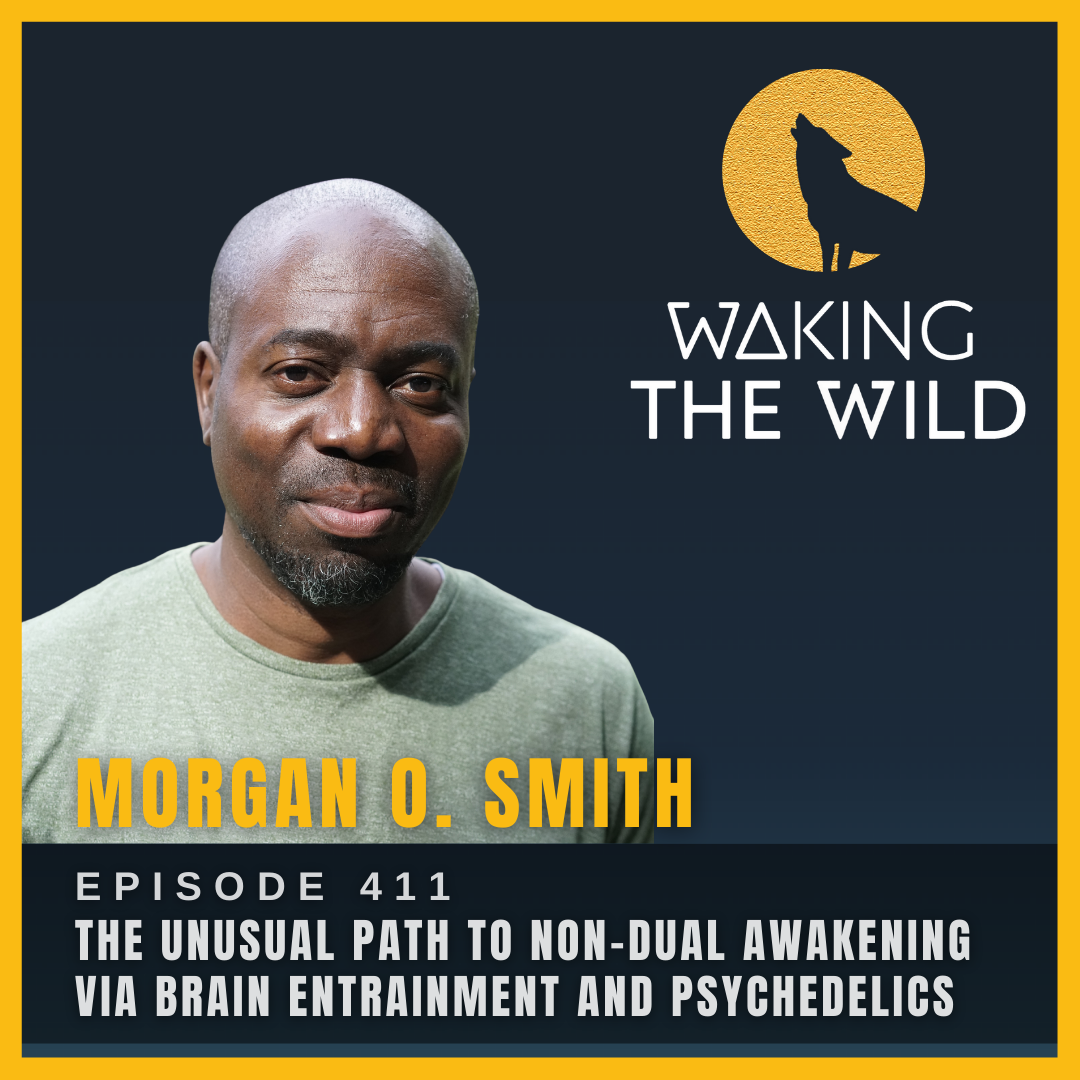 The unusual path to non-dual awakening via brain entrainment and psychedelics