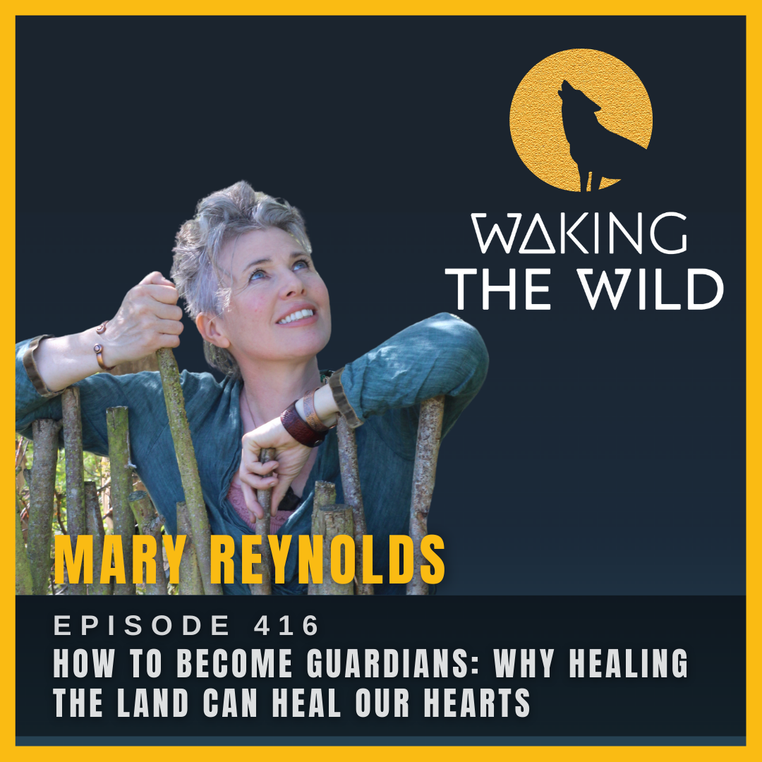 How to become guardians: Why healing the land can heal our hearts