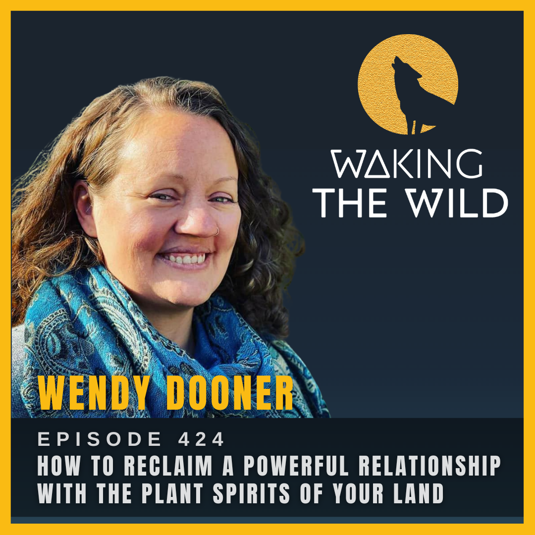 How to reclaim a powerful relationship with the plant spirits of your land