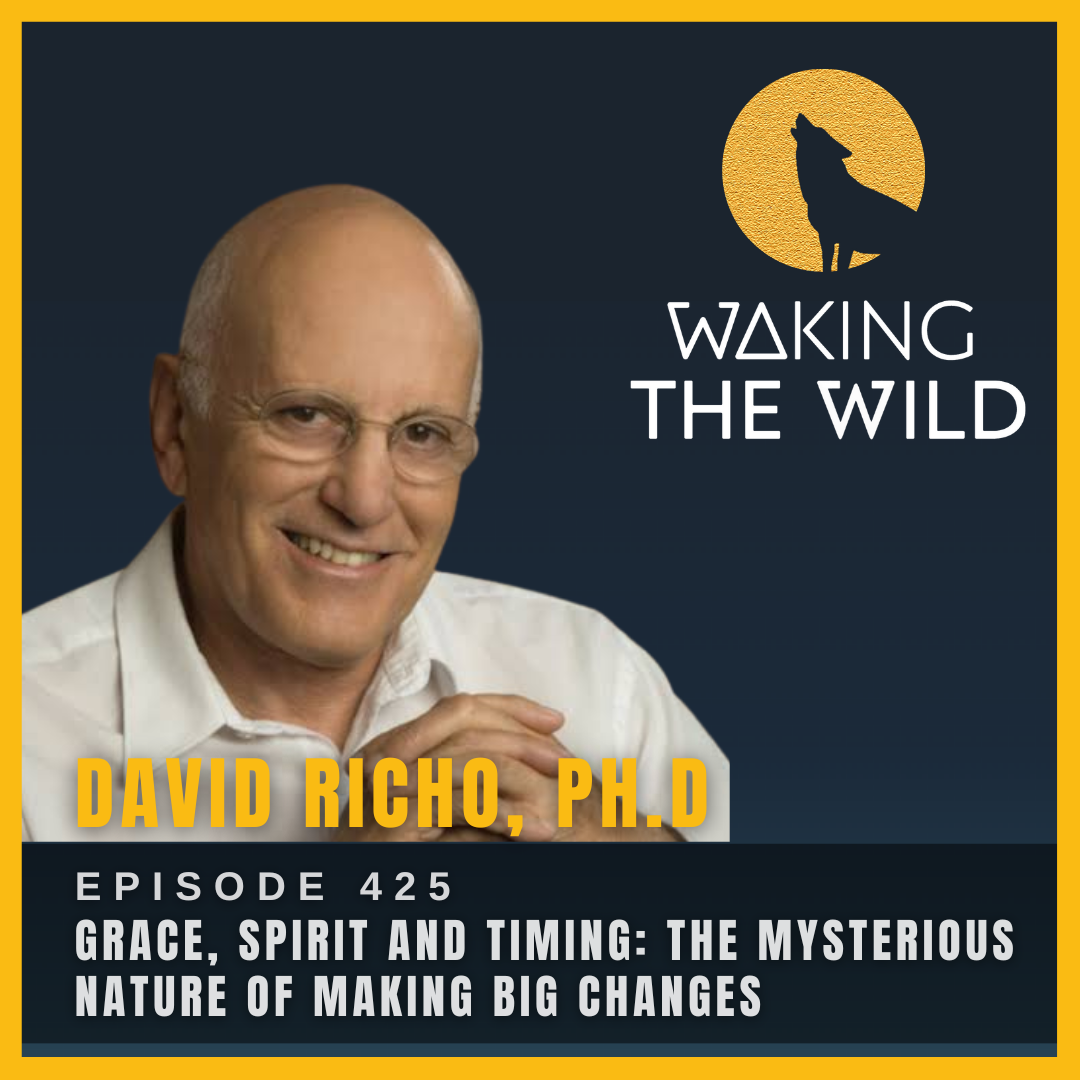 Grace, spirit and timing: the mysterious nature of making big changes