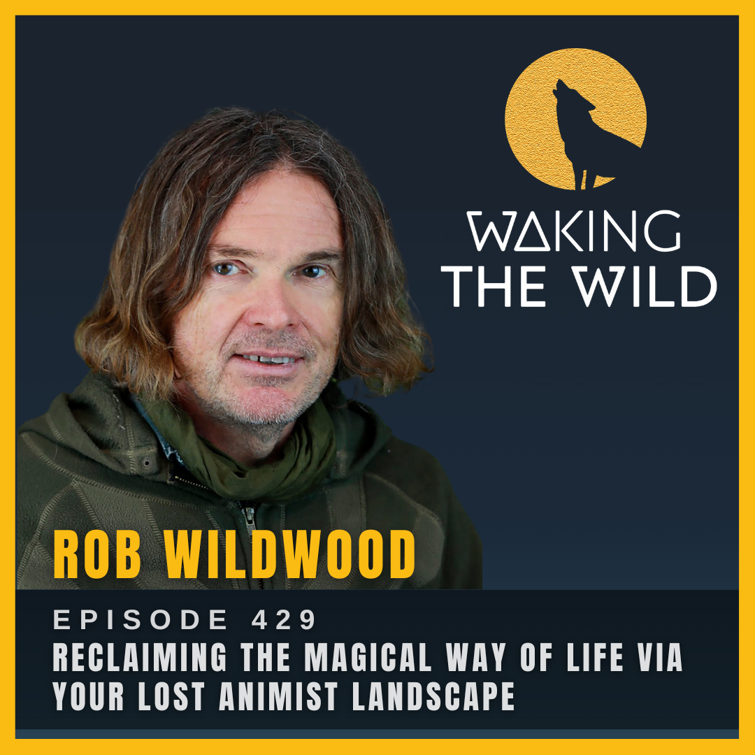 Reclaiming the magical way of life via your lost animist landscape