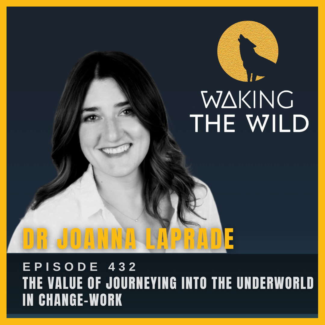 The value of journeying into the underworld in change-work