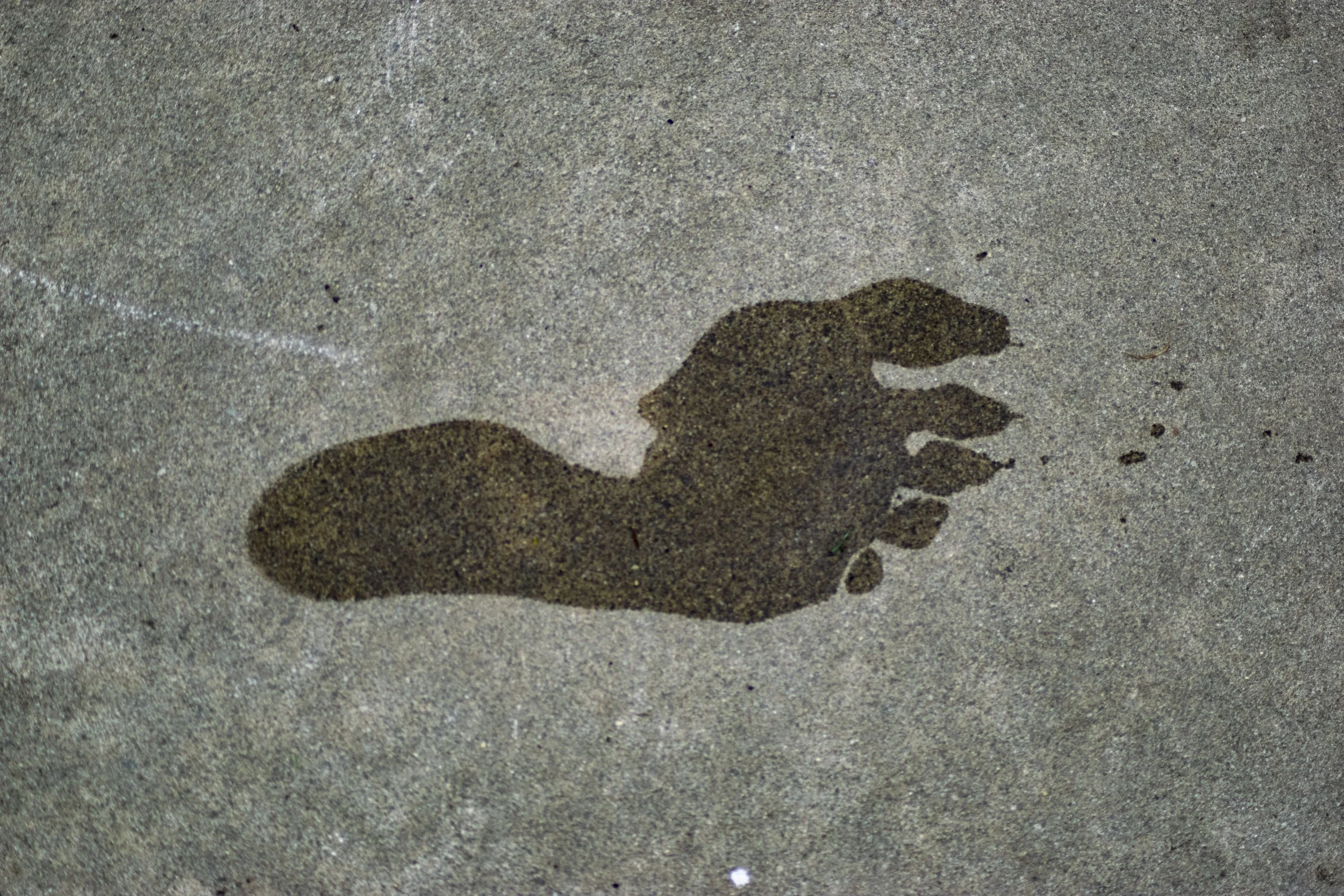 Sand with a shadow resembling a dinosaur.