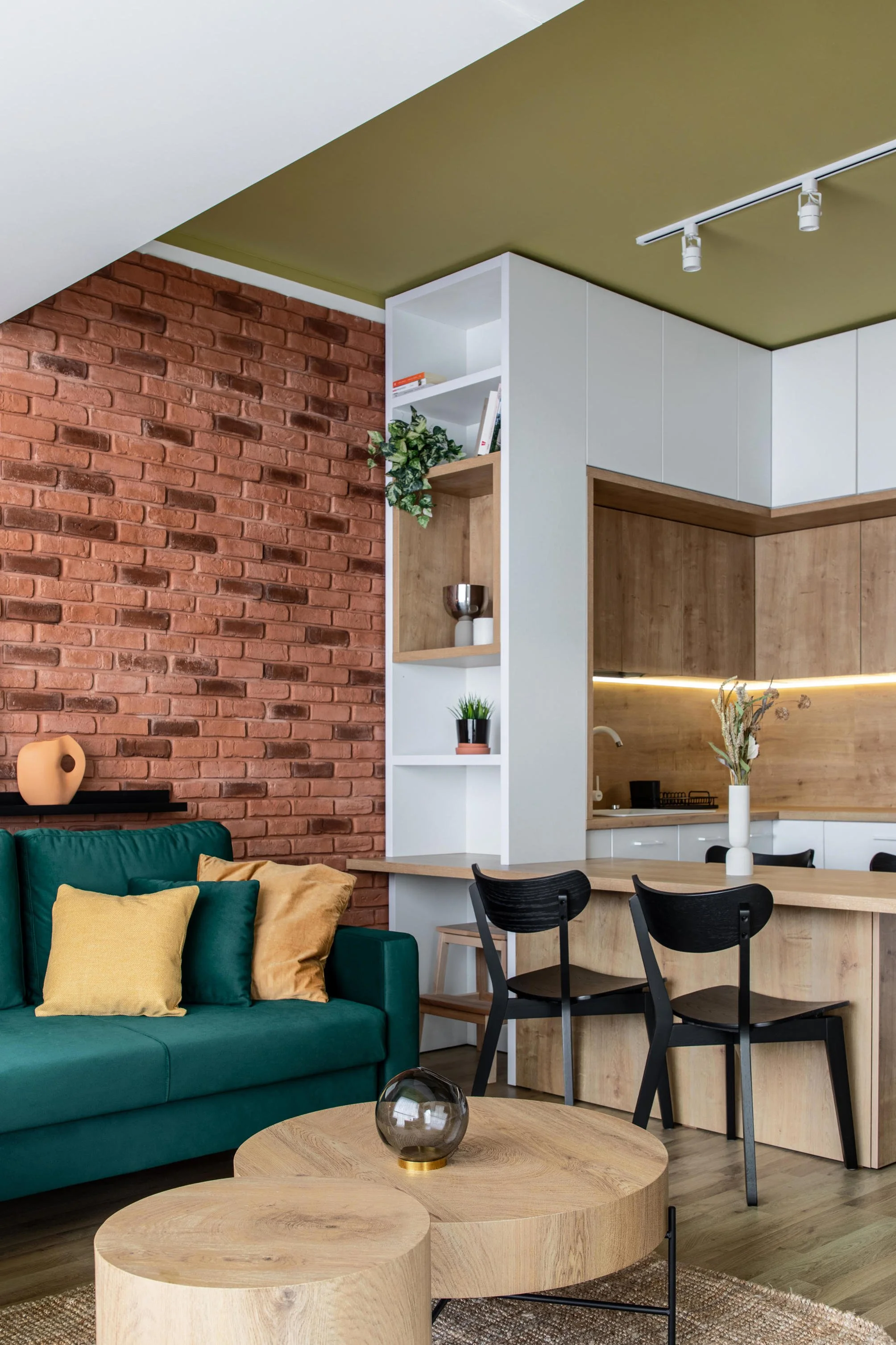Apartament Bucuresti scandinav influente industriale Prisaca Dornei  (12).jpg
