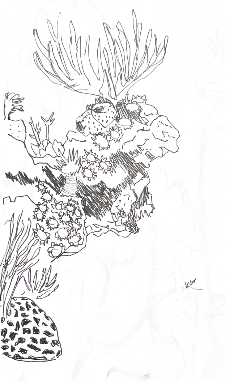 Screenshot 2025-07-15 at 5.59.21 PM.png