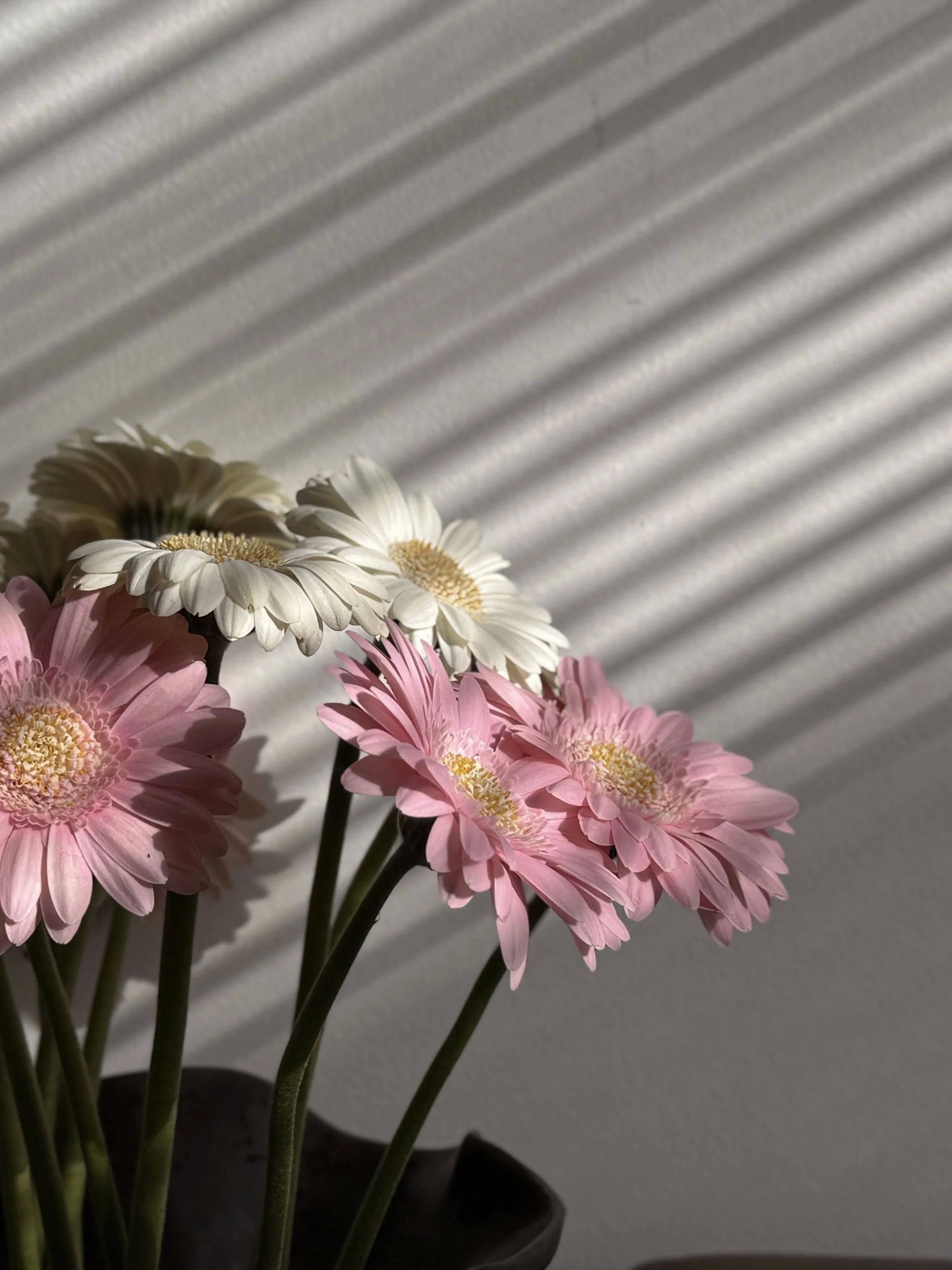 Growth package. High-end visual storytelling and refined photography for lifestyle brands showcasing elegant flora elements, a bouquet of white and pink daisies in a quiet luxury aesthetics.