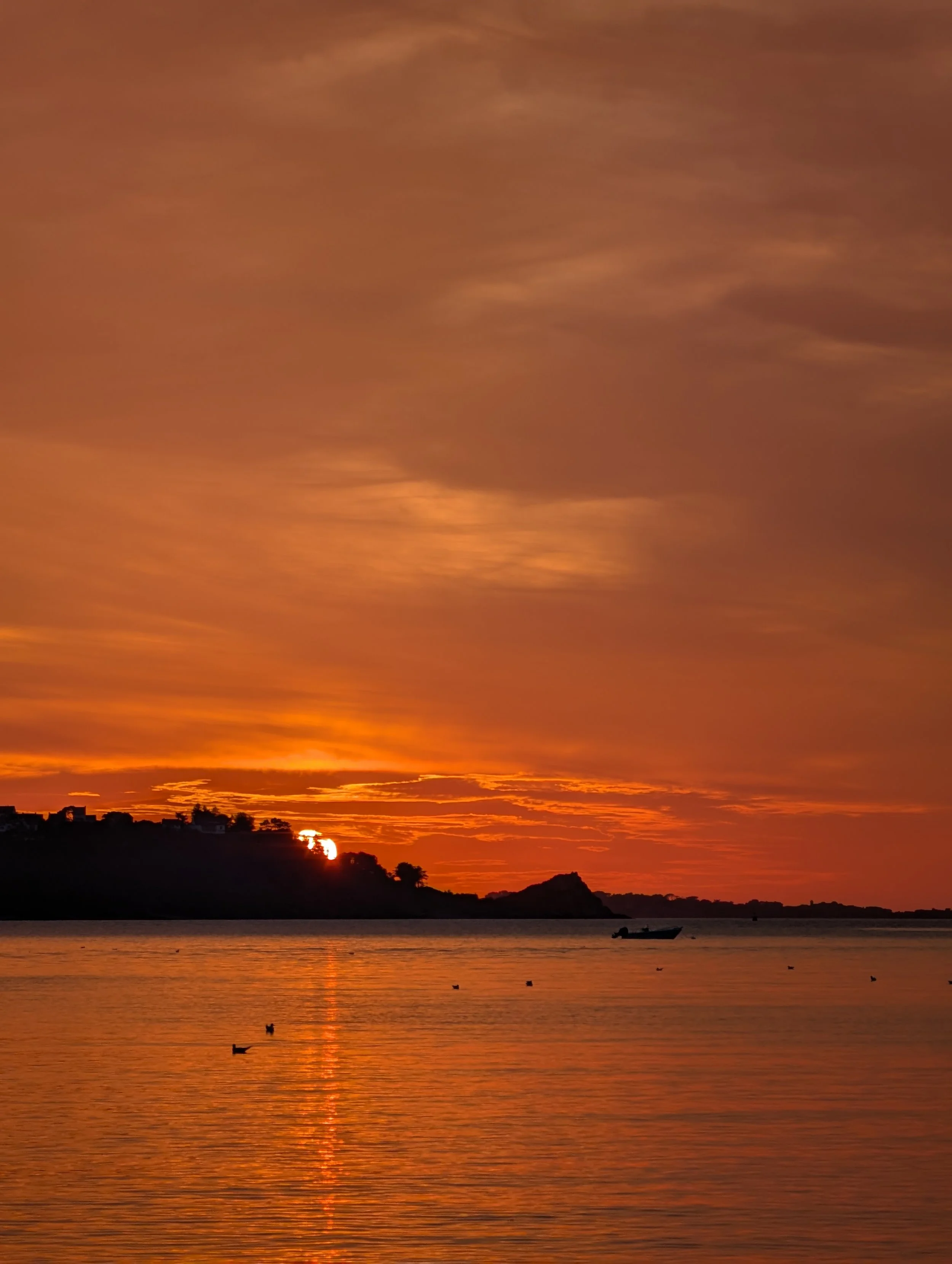 Story Telling & Audio Book Recording