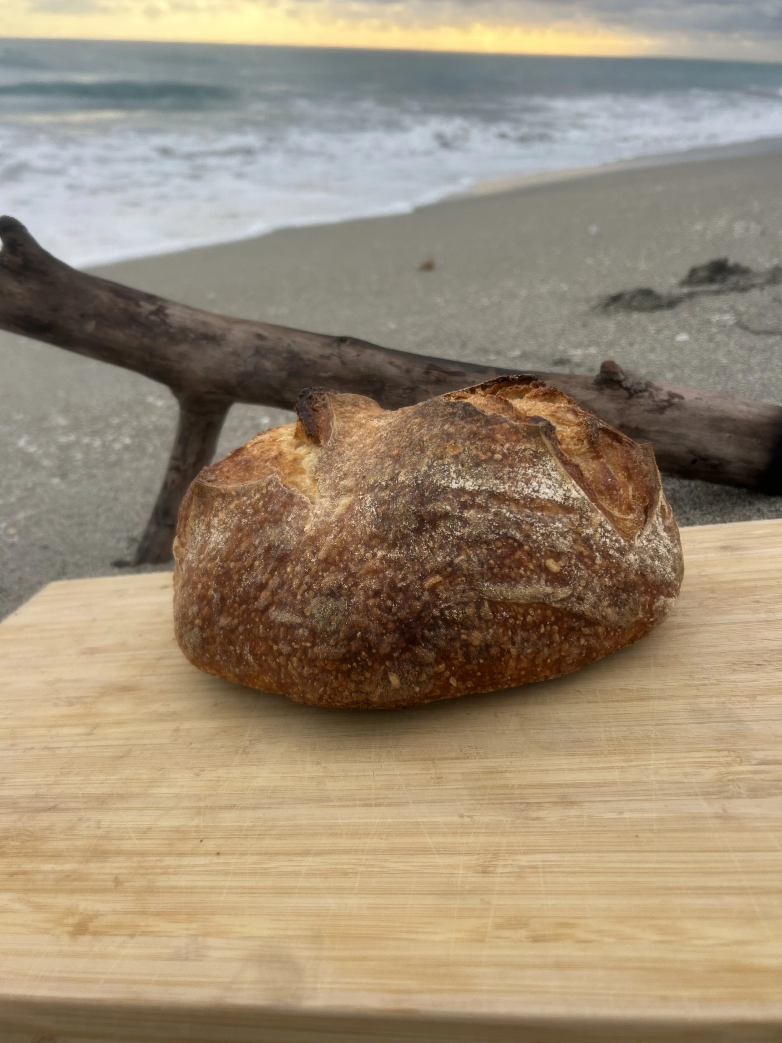 Riptide Classic Break Sourdough (Catch Ready for Monday, 4/20)