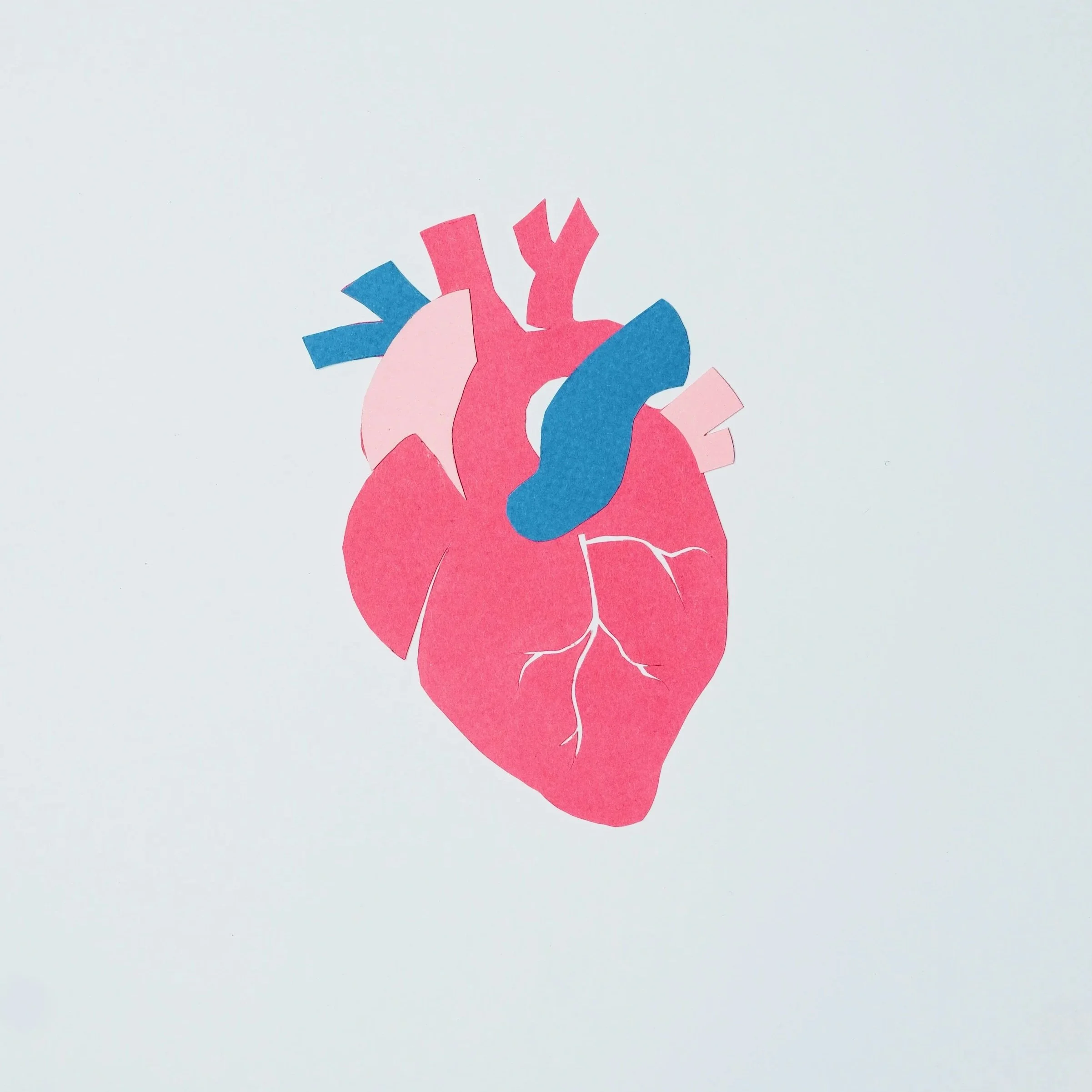Heart and circulation
