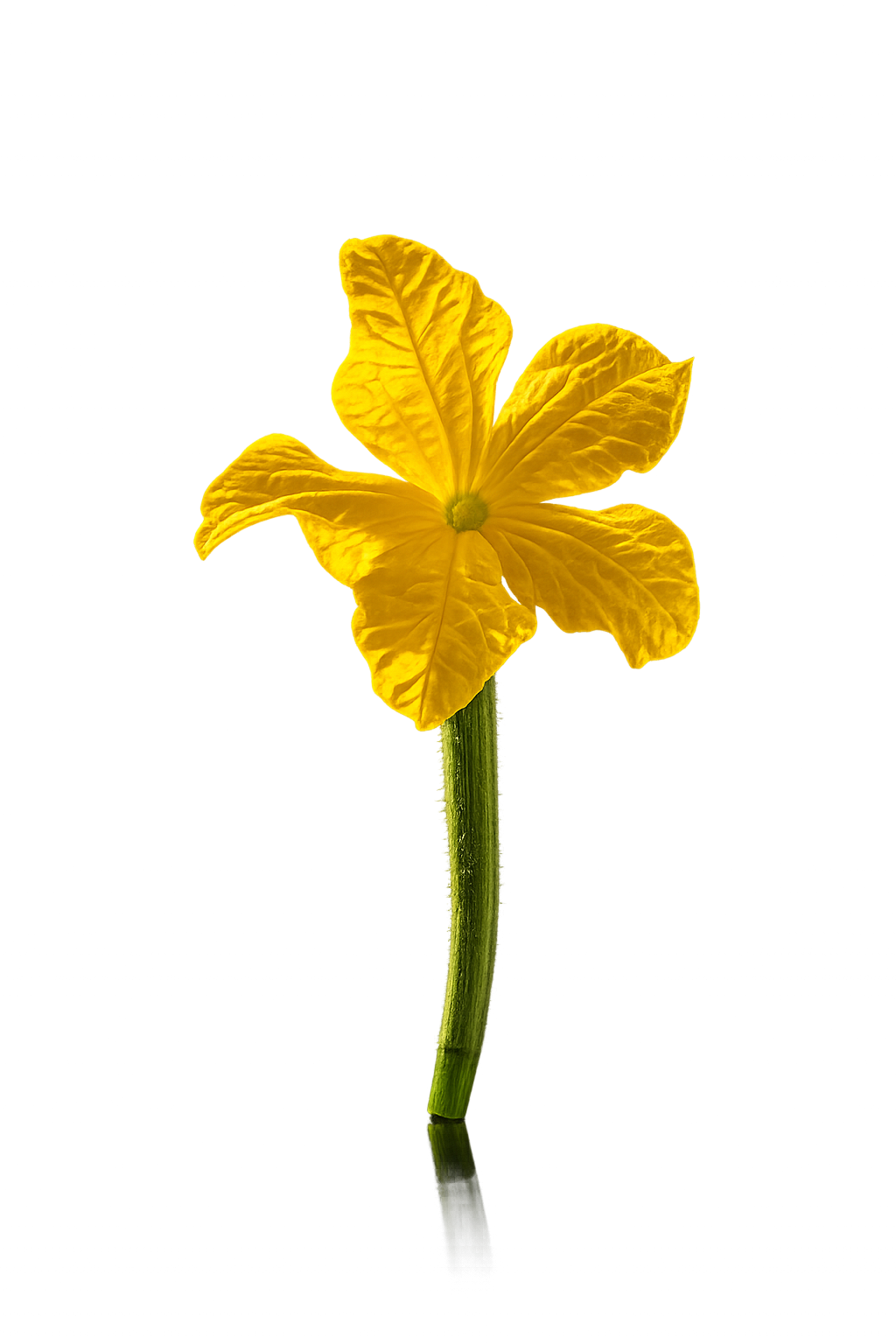 6ED6EFFD-9987-460F-880B-C47DDAAE02D7.PNG