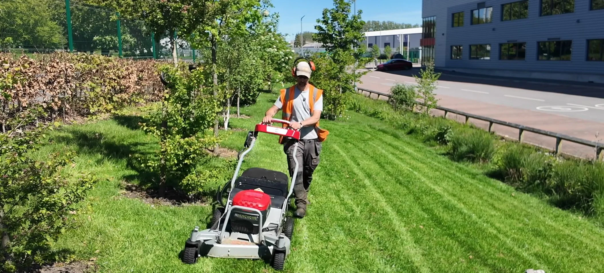 A person wearing a cap, protective ear equipment, an orange safety vest, and gray cargo pants is pushing a walk-behind lawn mower on a grassy area near trees and bushes. There is a sidewalk, a modern building, and parked cars in the background on a s
