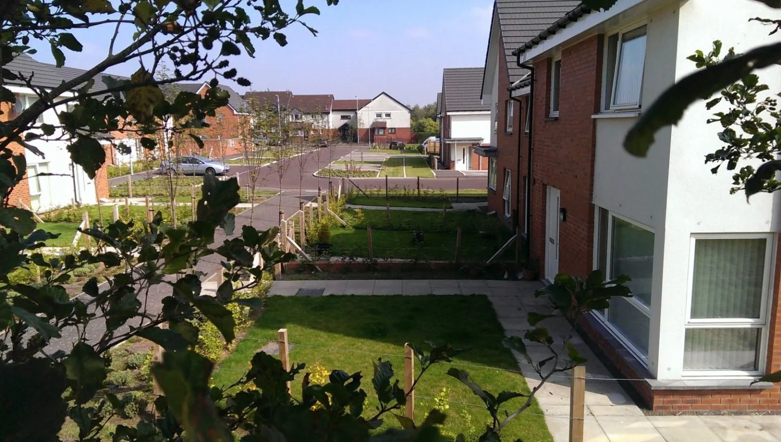 View of a suburban residential area with a white house on the right, green yards, and a street with parked cars in the distance, partially obscured by tree branches in the foreground.