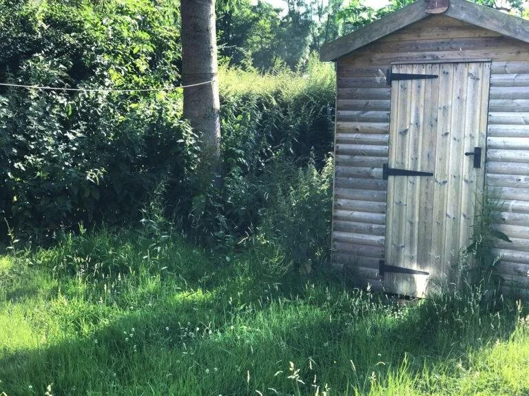 Wooden shed with a door on a grassy lawn next to dense bushes and a tree.