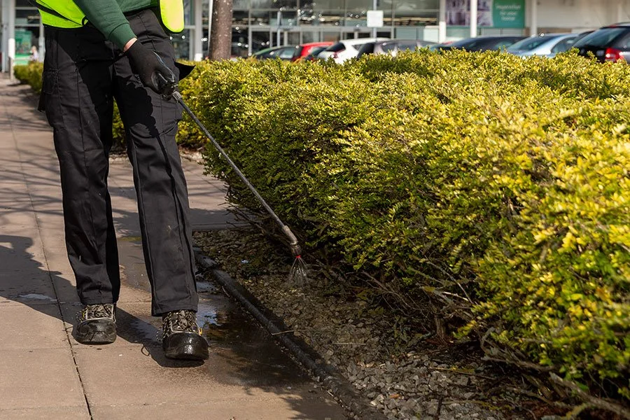 Person wearing a green shirt, black pants, and black gloves, using a weed trimmer along a sidewalk next to a trimmed hedge.