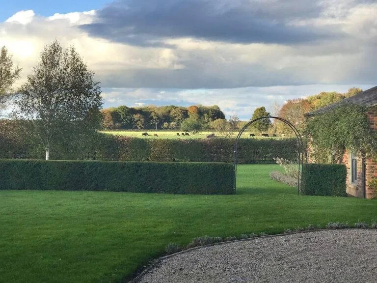 A well-maintained garden with a green lawn, trimmed hedges, and a gravel pathway. There is a brick house with greenery growing on the side, and in the background, a field with grazing cows under a partly cloudy sky.