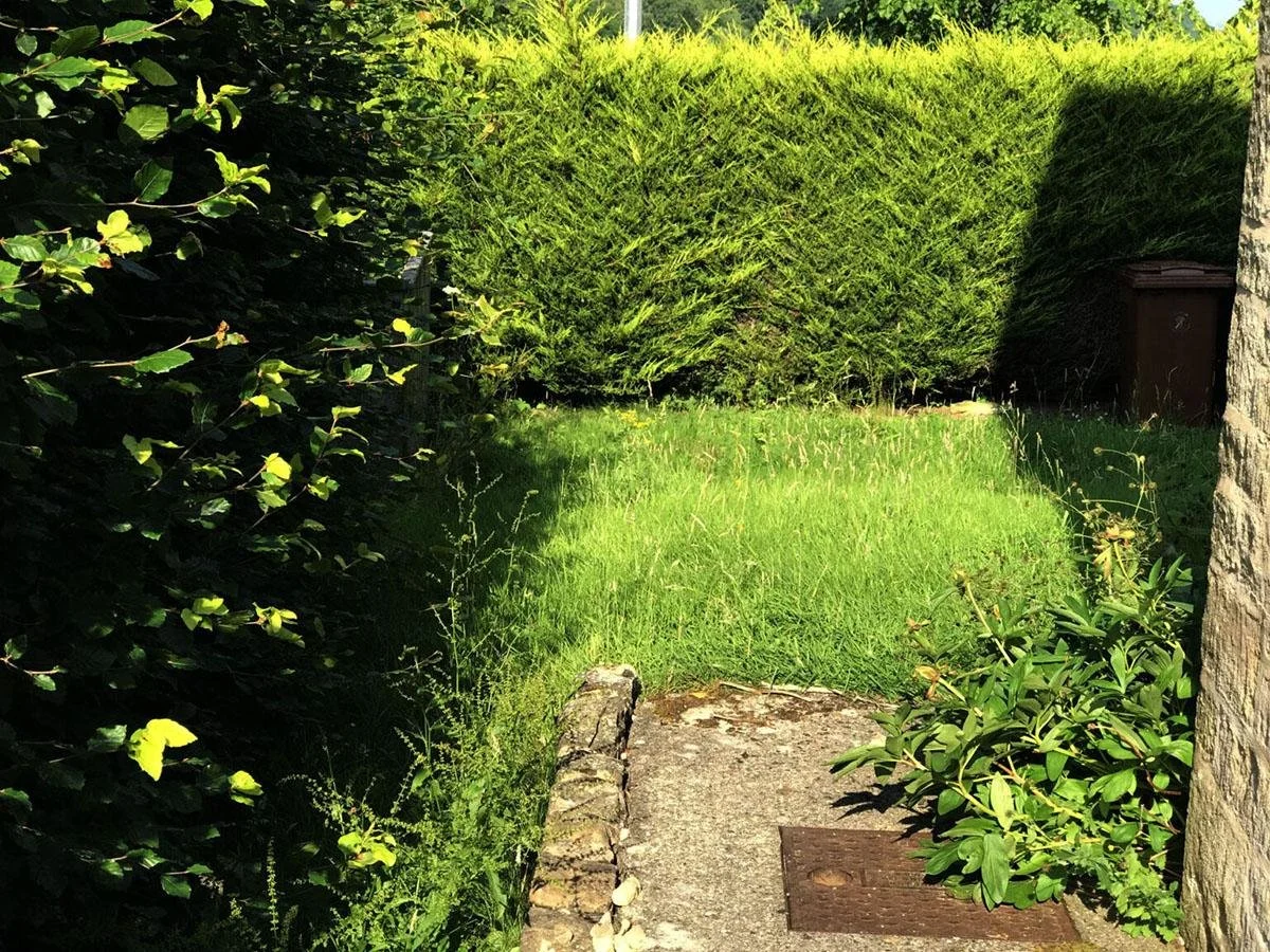 A small garden pathway with green grass, bushes, and a tall hedge in the background, shadowed part of a stone wall on the right, and a brown trash bin in the corner.