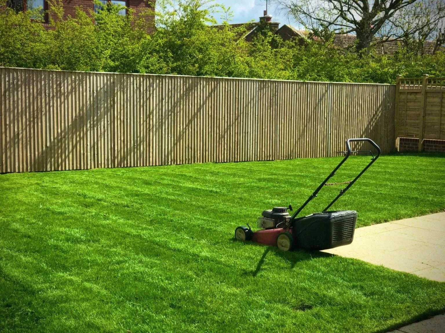Freshly mowed lush green lawn with a red and black lawnmower on the grass near a concrete pathway, enclosed by a wooden fence.