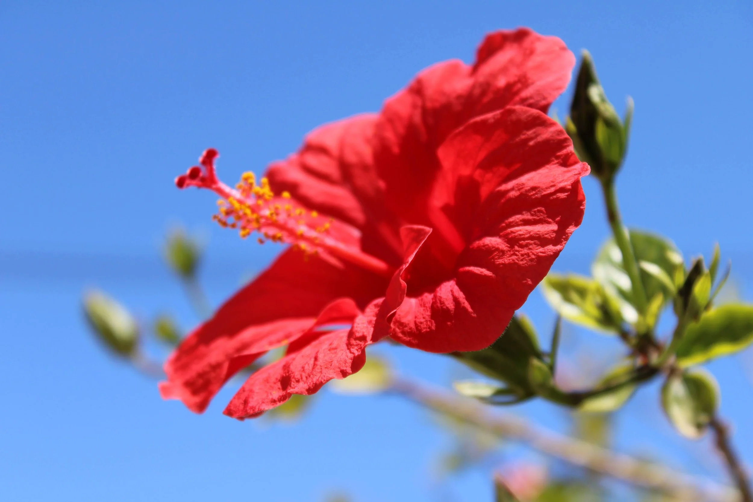IMG_0600.png