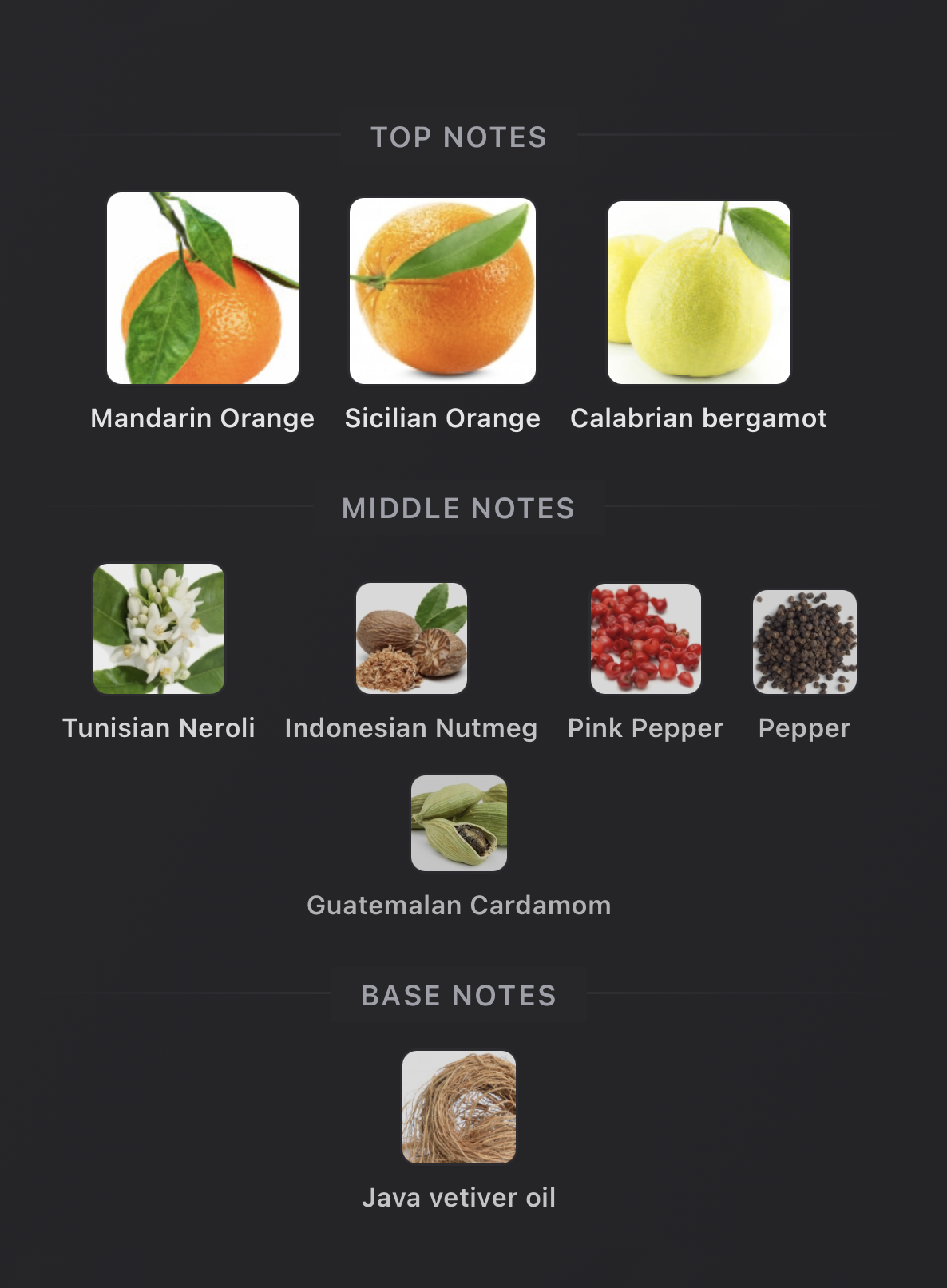 Screenshot 2026-03-17 at 3.47.23 PM.png