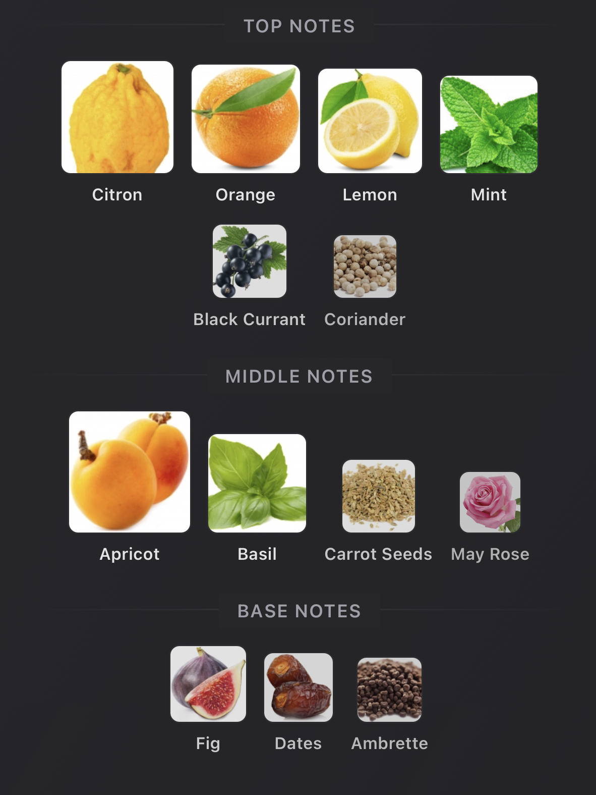 Screenshot 2026-03-17 at 3.42.13 PM.png