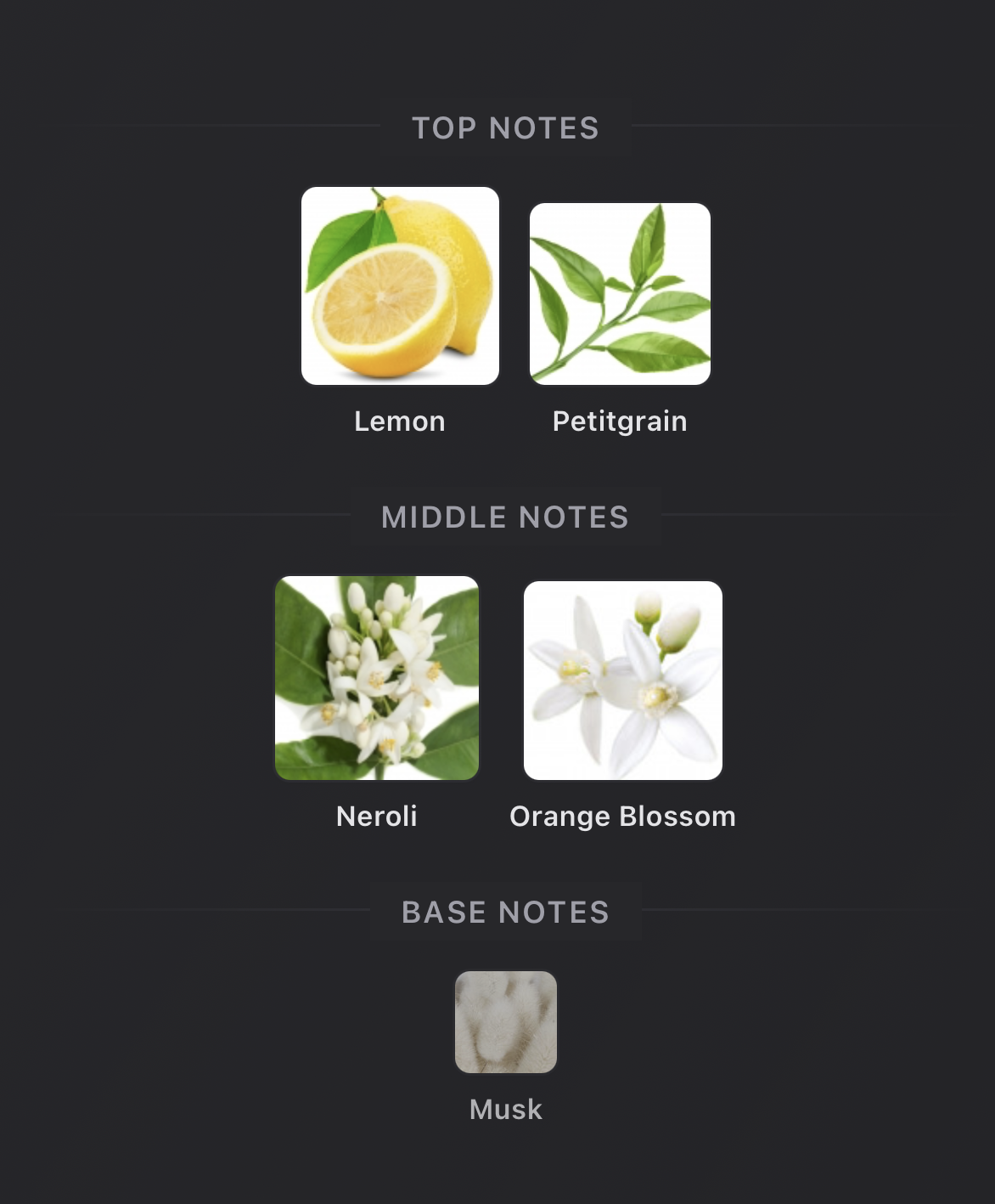 Screenshot 2026-03-17 at 3.49.04 PM.png