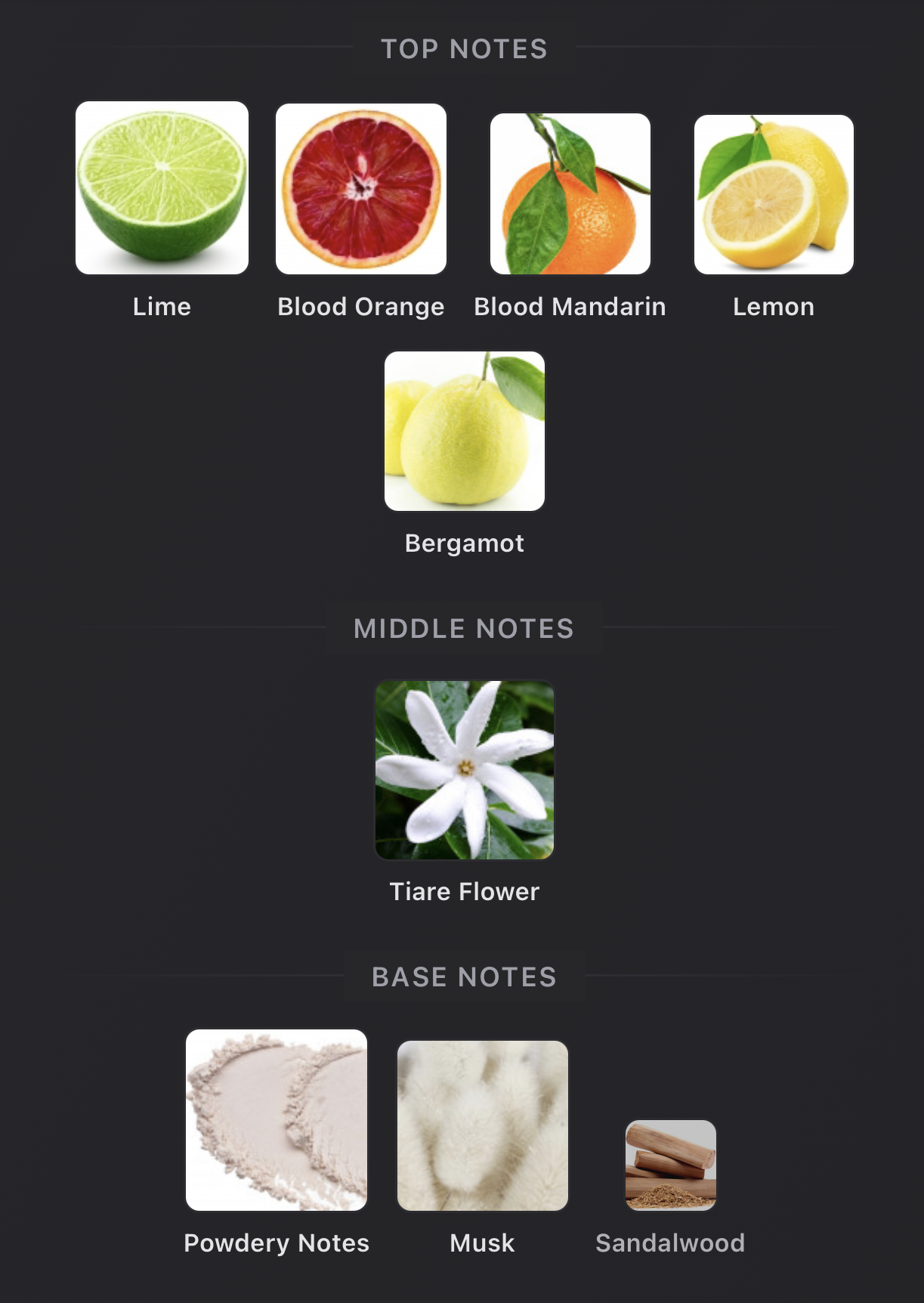 Screenshot 2026-03-17 at 3.48.38 PM.png