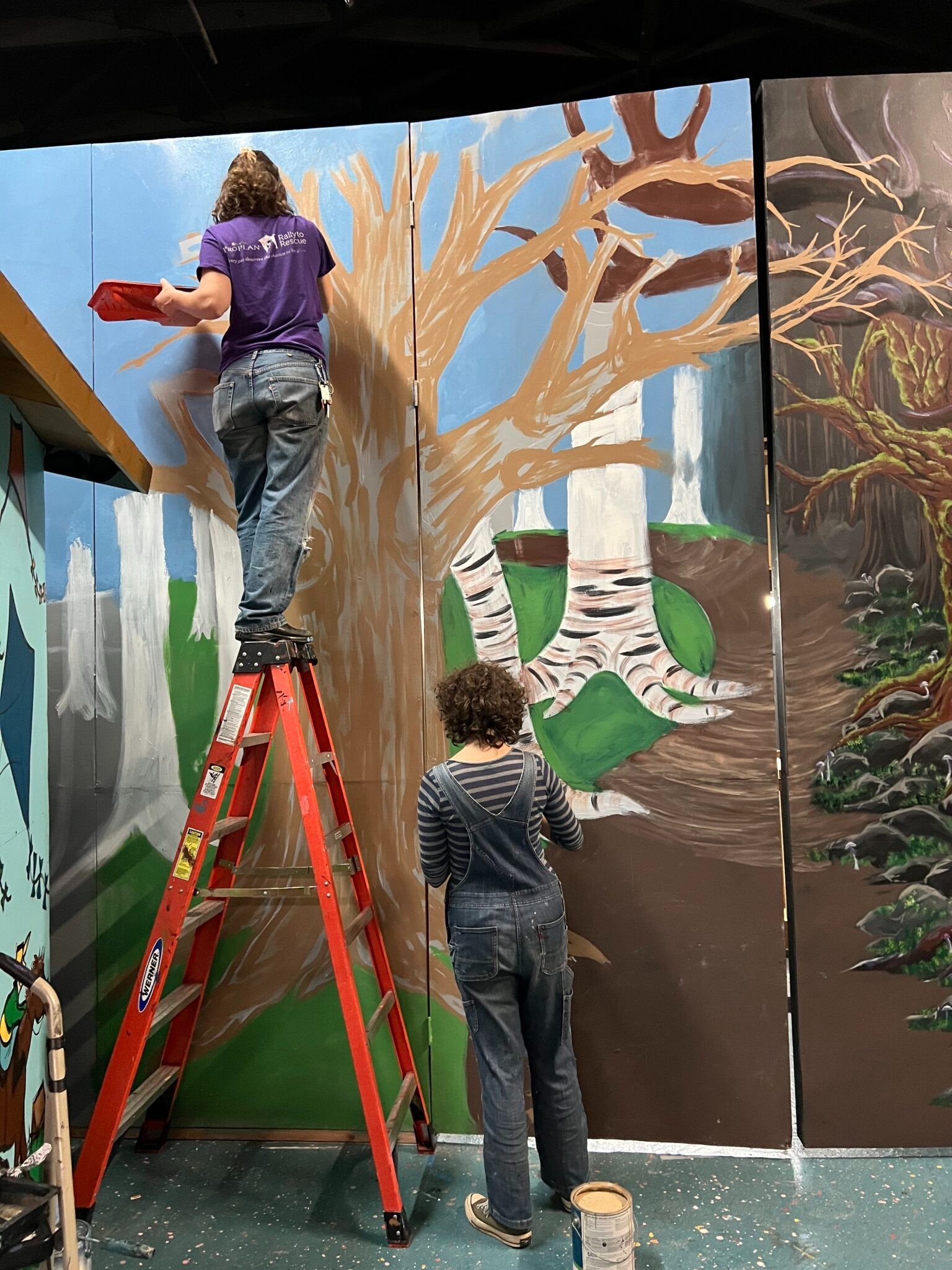 Two women painting a large mural on a wall. One is on a ladder and the other is standing on the ground. The mural depicts trees with blue sky background and a green landscape.