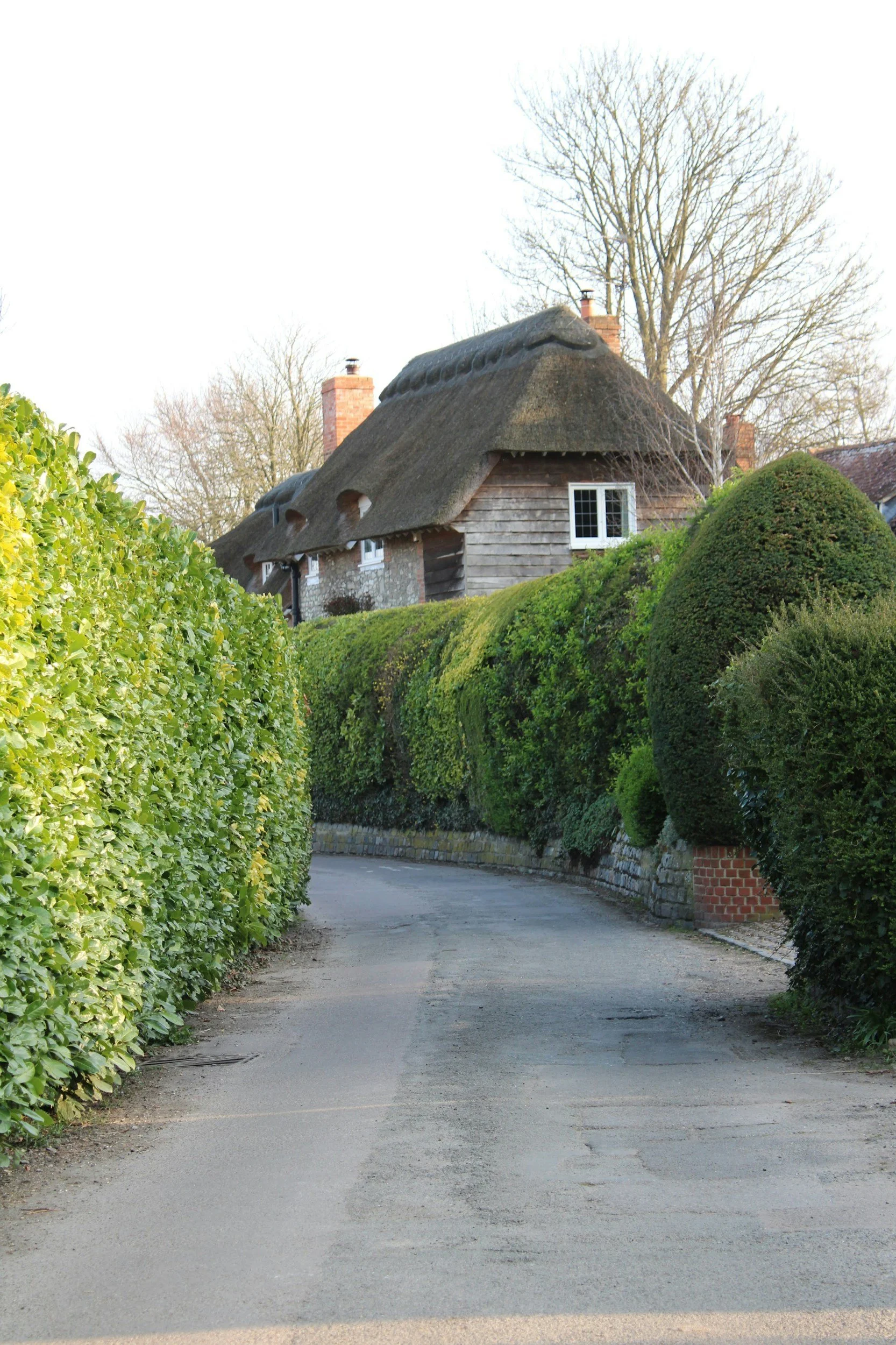 A rural scene with a narrow dirt road flanked by green hedges leading to a thatched-roof cottage with chimney stacks.