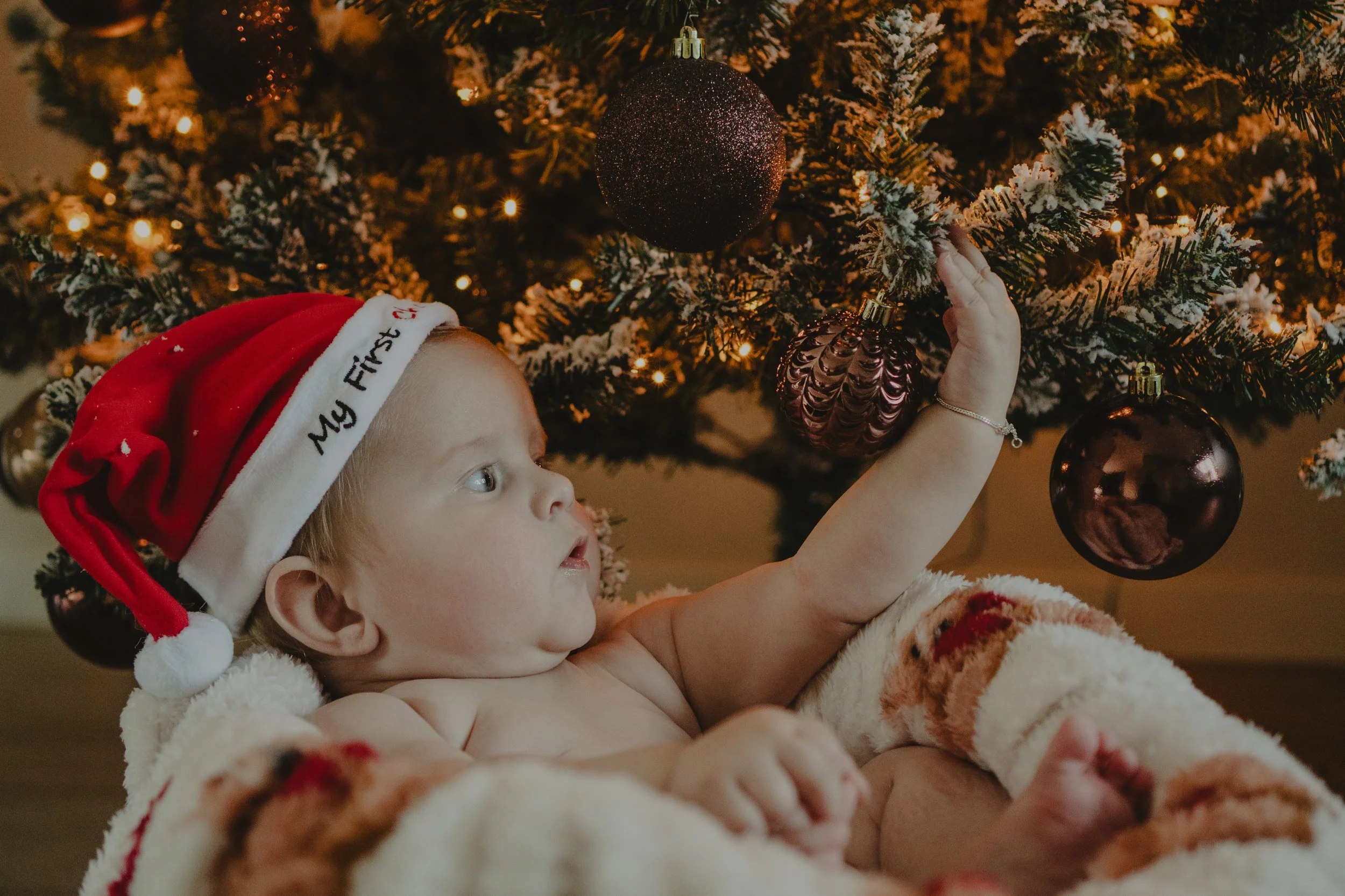 The Christmas Project