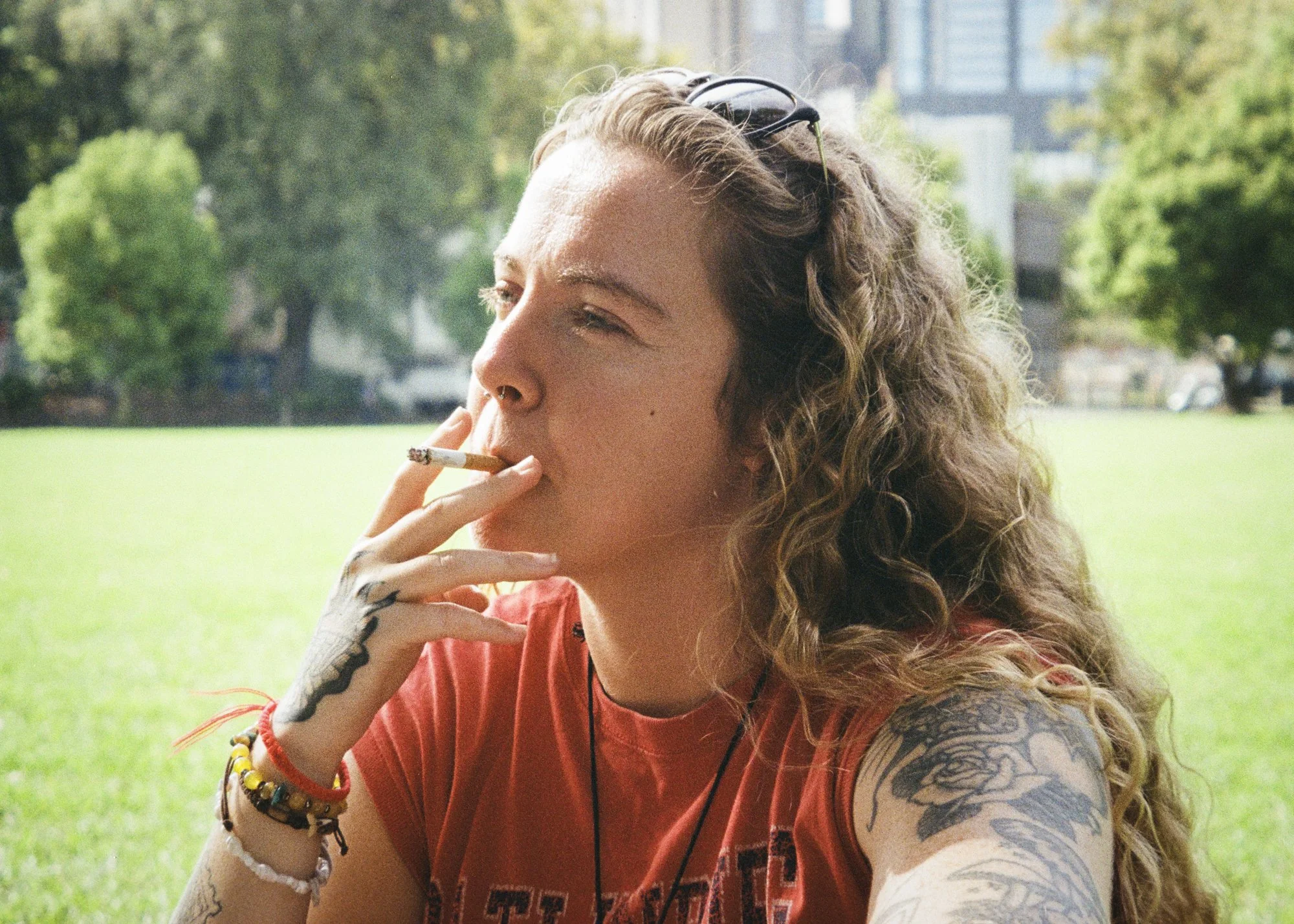 26.jpg
