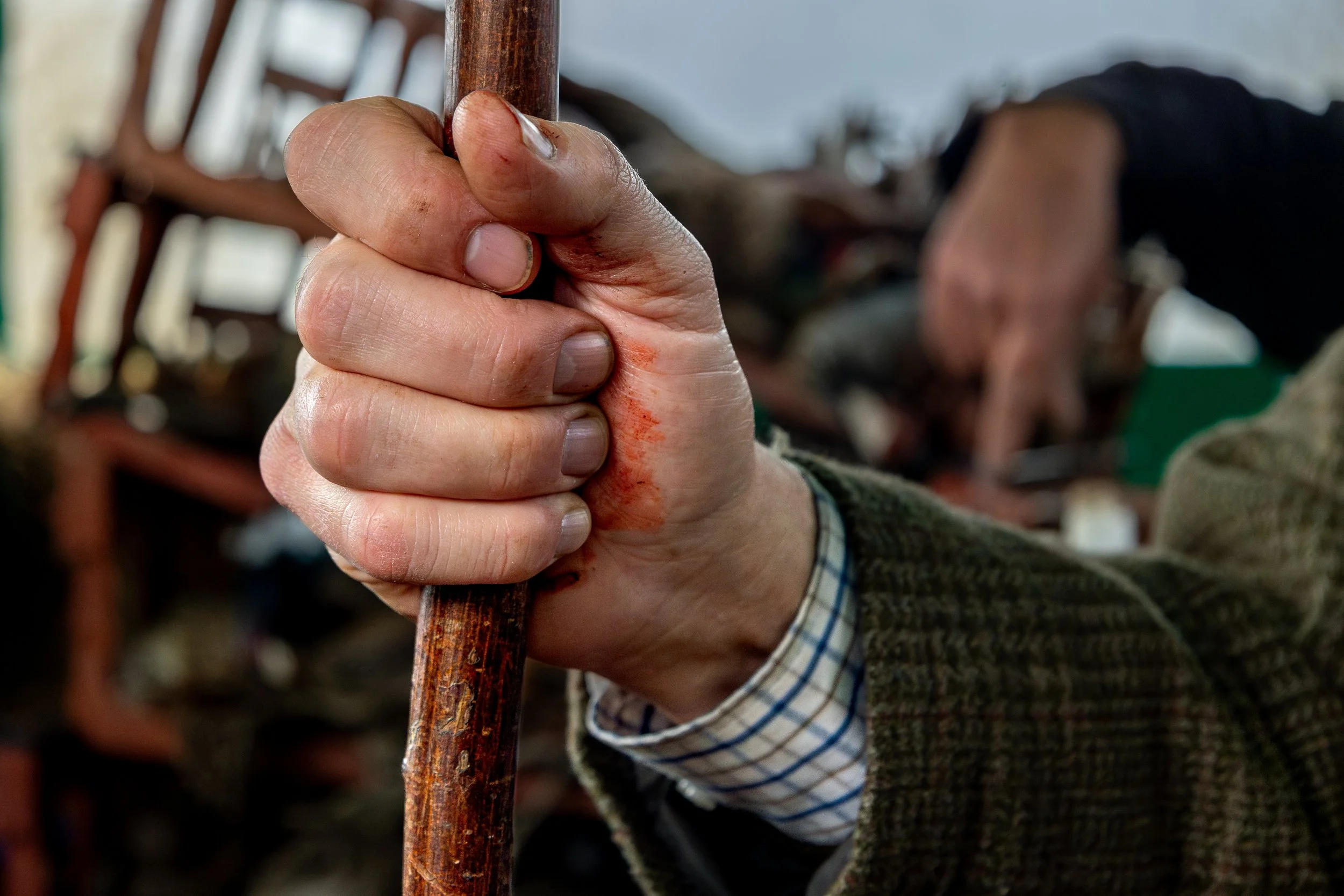 Close-up of a person's bloody hand gripping a wooden walking stick, with dirt under the nails and a scrape on the wrist, in a farm setting with blurred background.