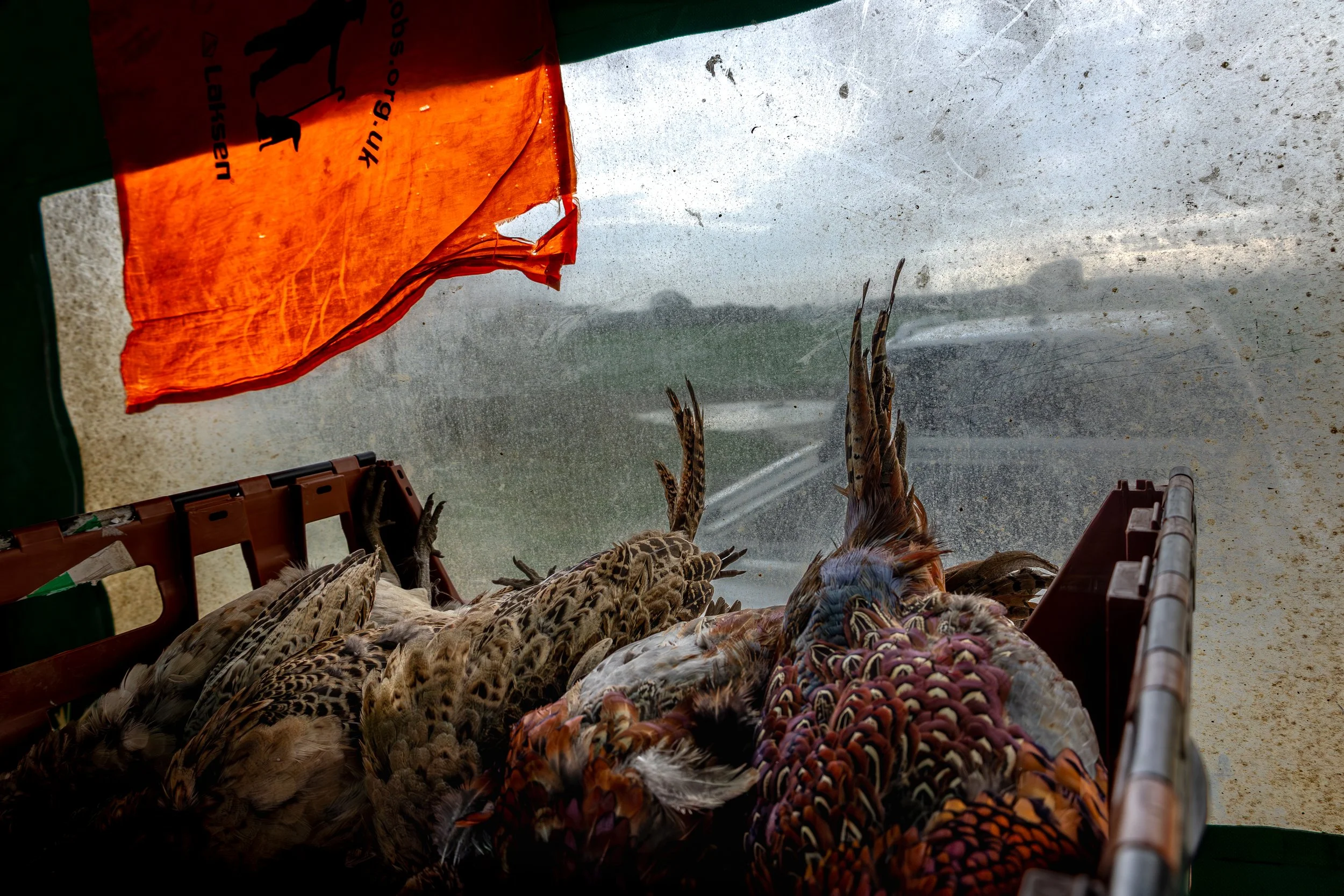 A view inside a vehicle shows multiple dead game birds, including pheasants, lying in a container. An orange flag is hanging inside, and through the dusty windshield, an open field with two other vehicles