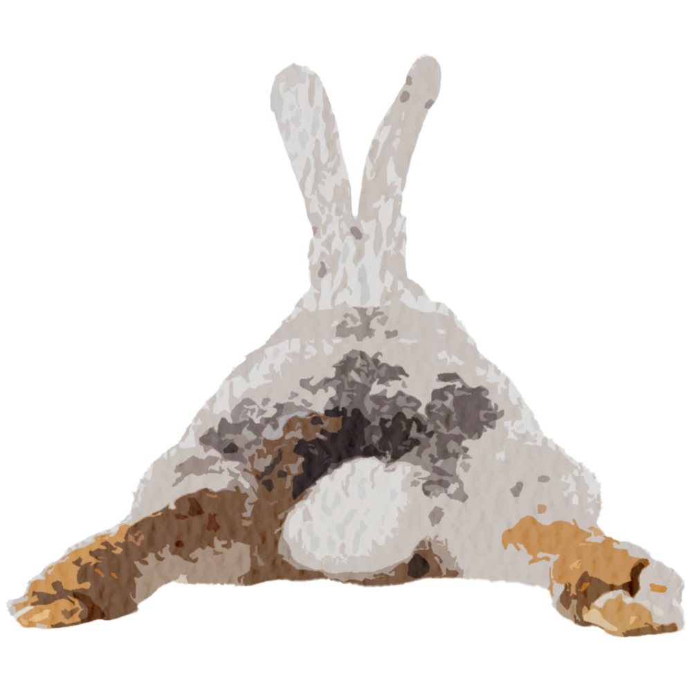 BunnyButt.png