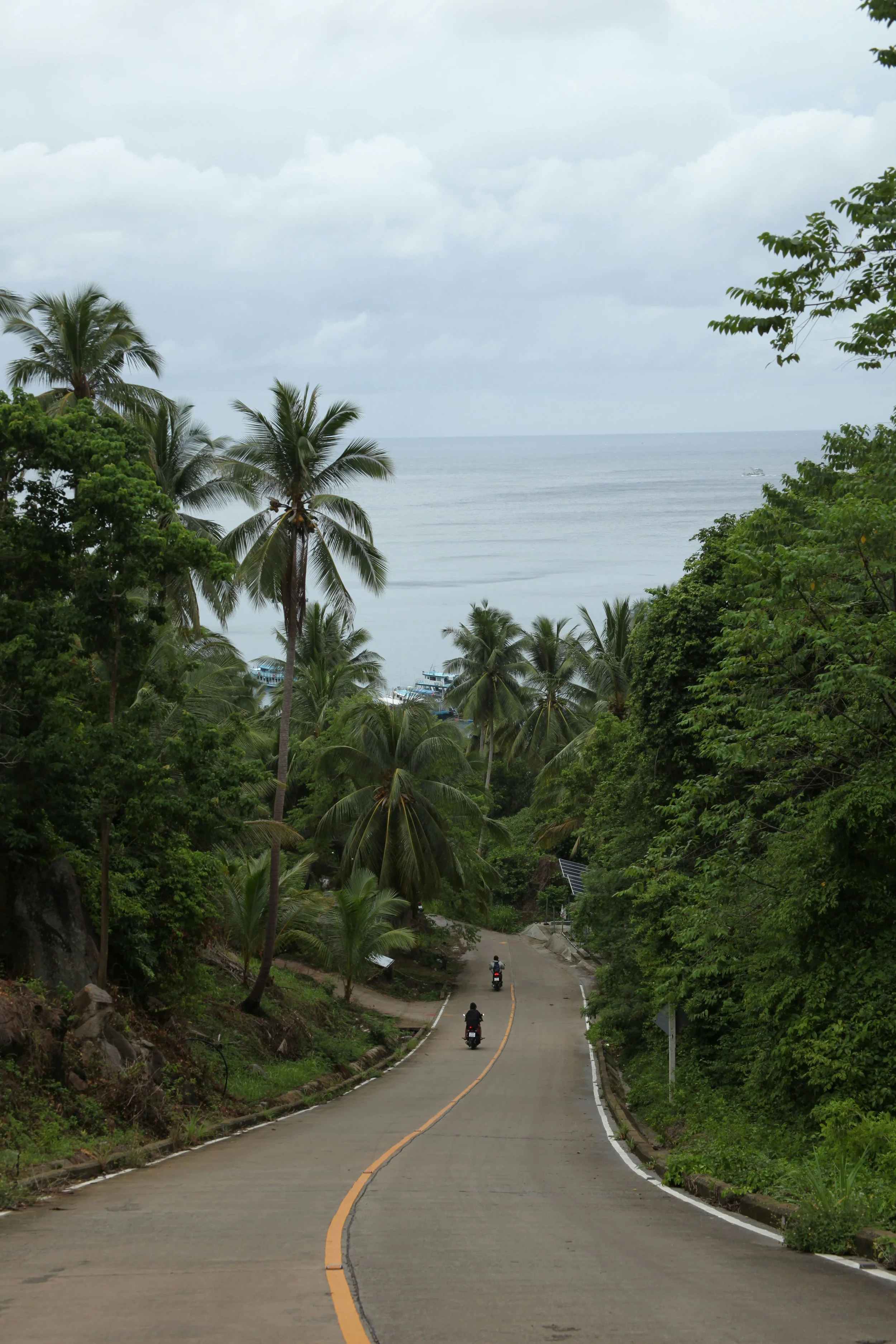 Route en montée bordée d'arbres tropicaux, vue sur la mer au loin avec quelques bateaux, ciel nuageux.