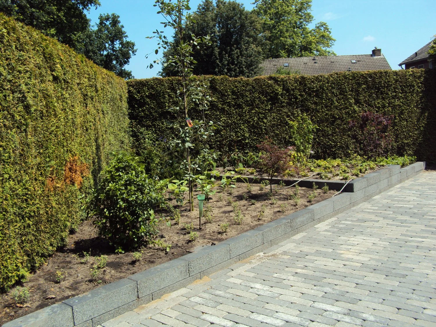Tuinrenovatie