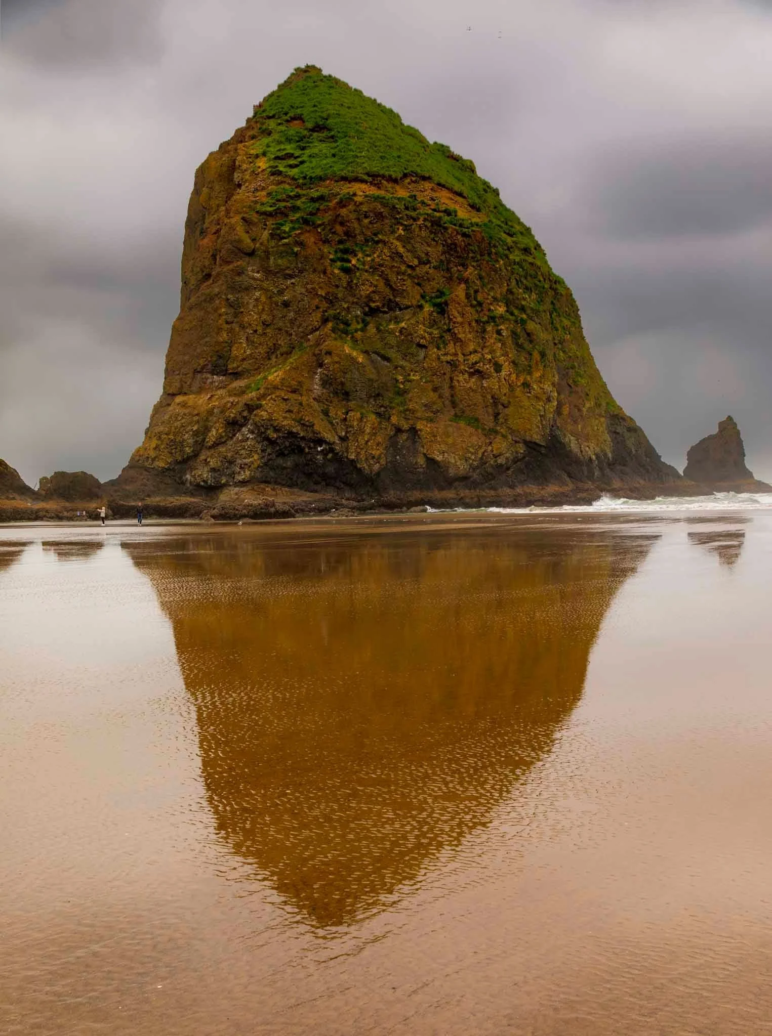 Cannon Beach, Oregon: A large rock formation with green vegetation on top, its mirror reflection gently distorted in the wet sand beneath.